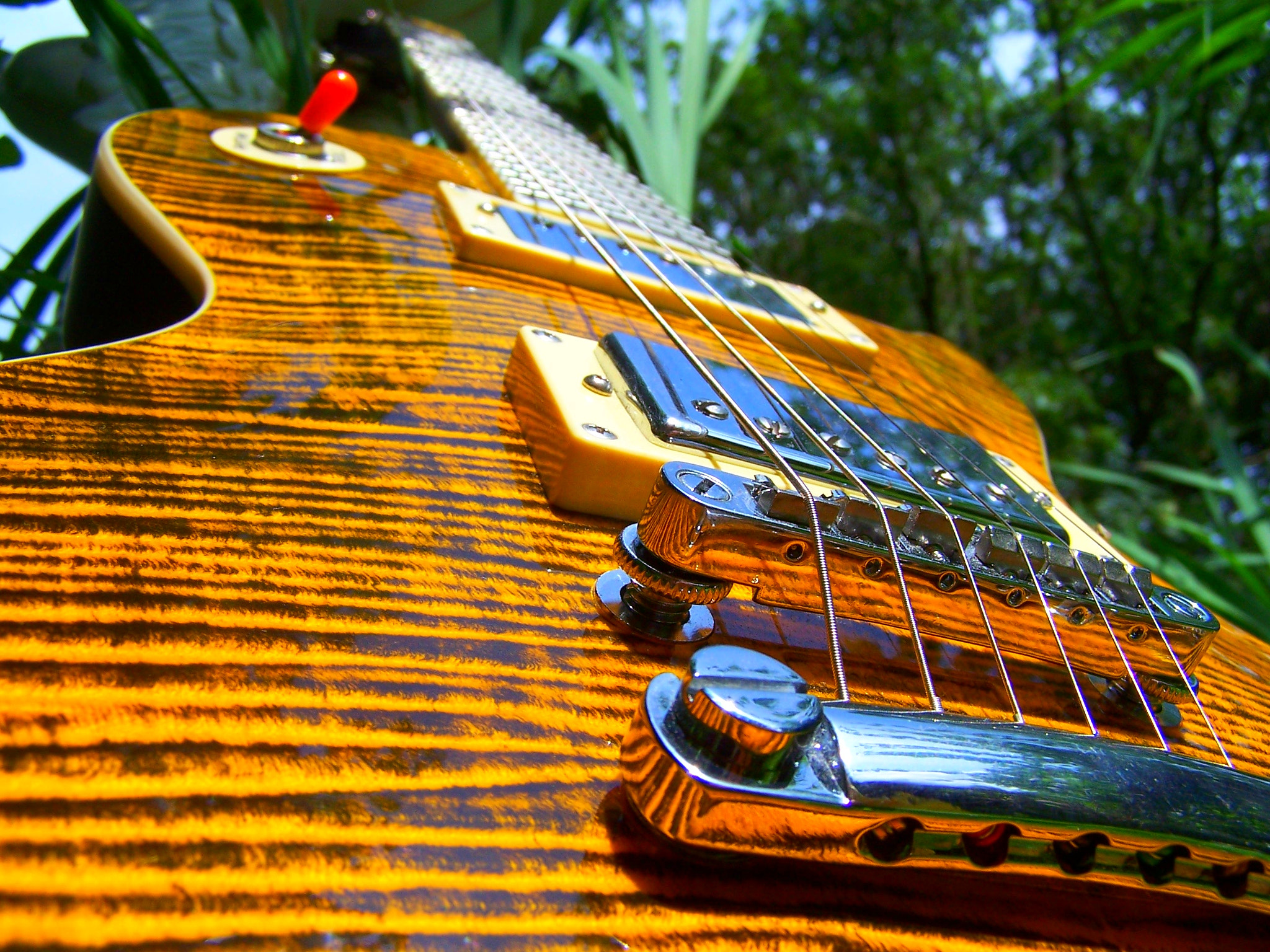 Joe Perry Signature Les Paul