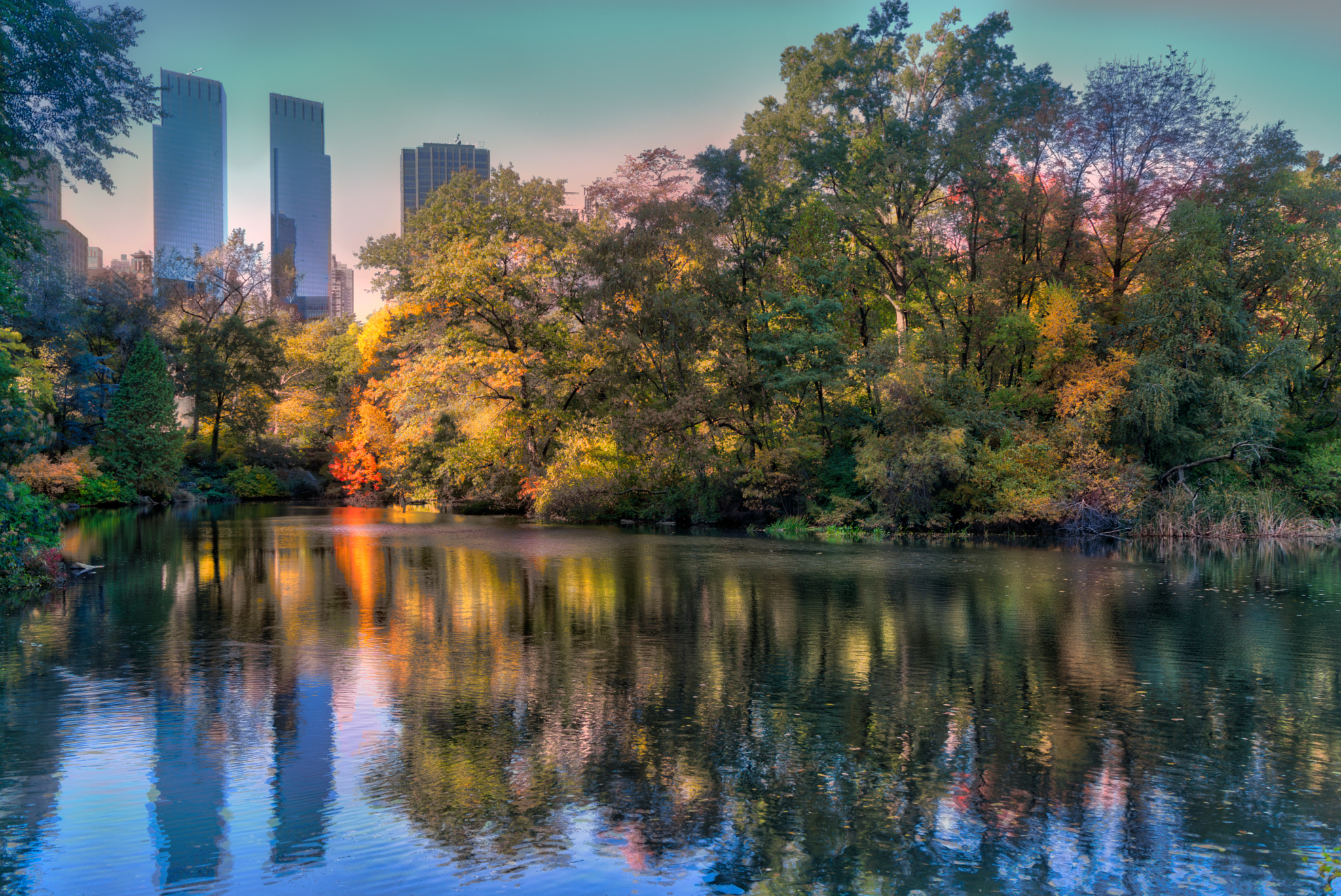 Sony a7R + Sony Vario Tessar T* FE 24-70mm F4 ZA OSS sample photo. Central park photography