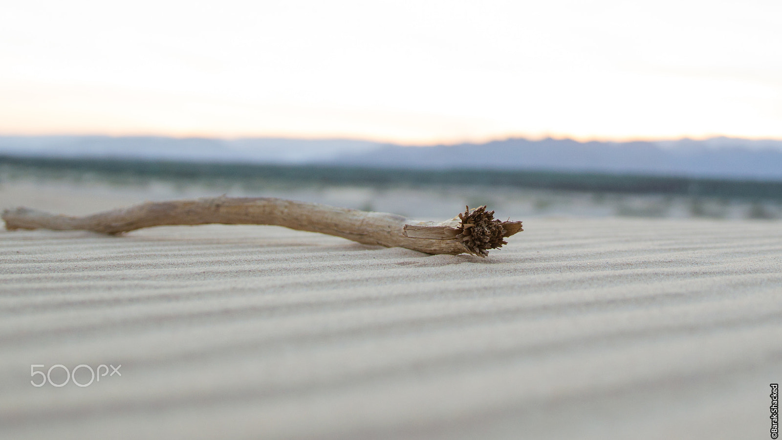 Nikon D3200 + Sigma 18-35mm F1.8 DC HSM Art sample photo. Branch on sand photography