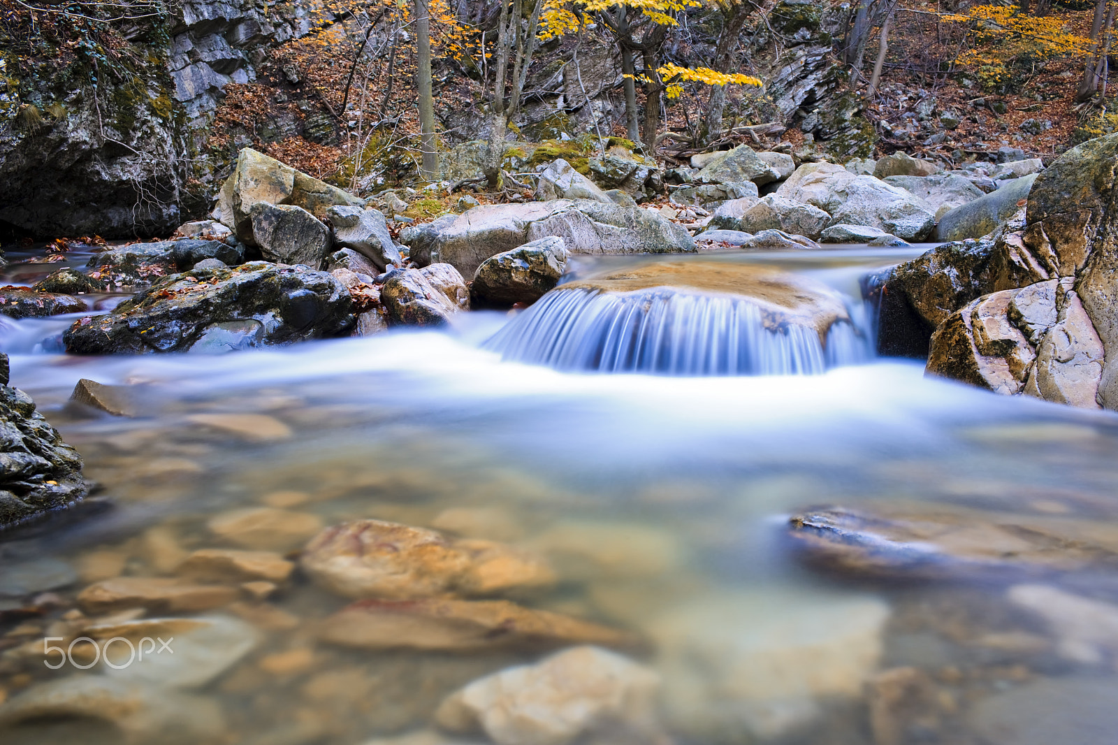 Canon EF 35mm F1.4L USM sample photo. Clear water in wild nature photography
