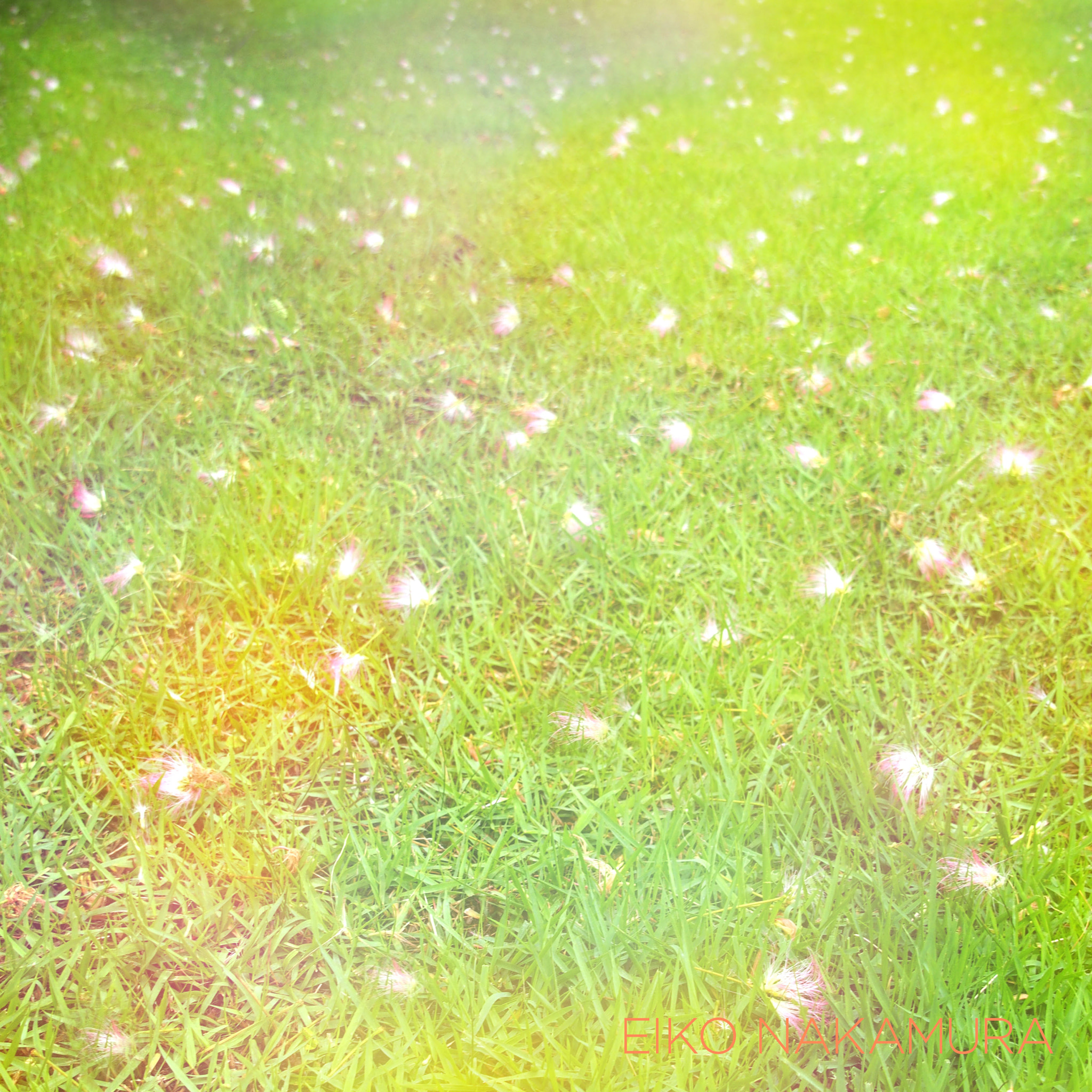 Olympus PEN E-P5 sample photo. Rise & shine photography