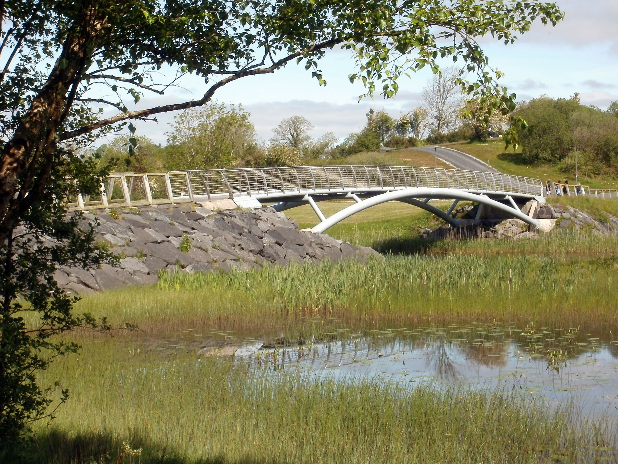 Olympus FE47,X43 sample photo. Mayo peace park co mayo galway castlebar photography