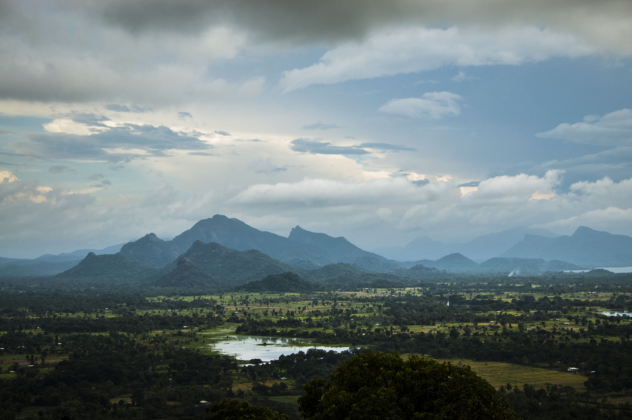 Nikon D50 sample photo. 2164 photography