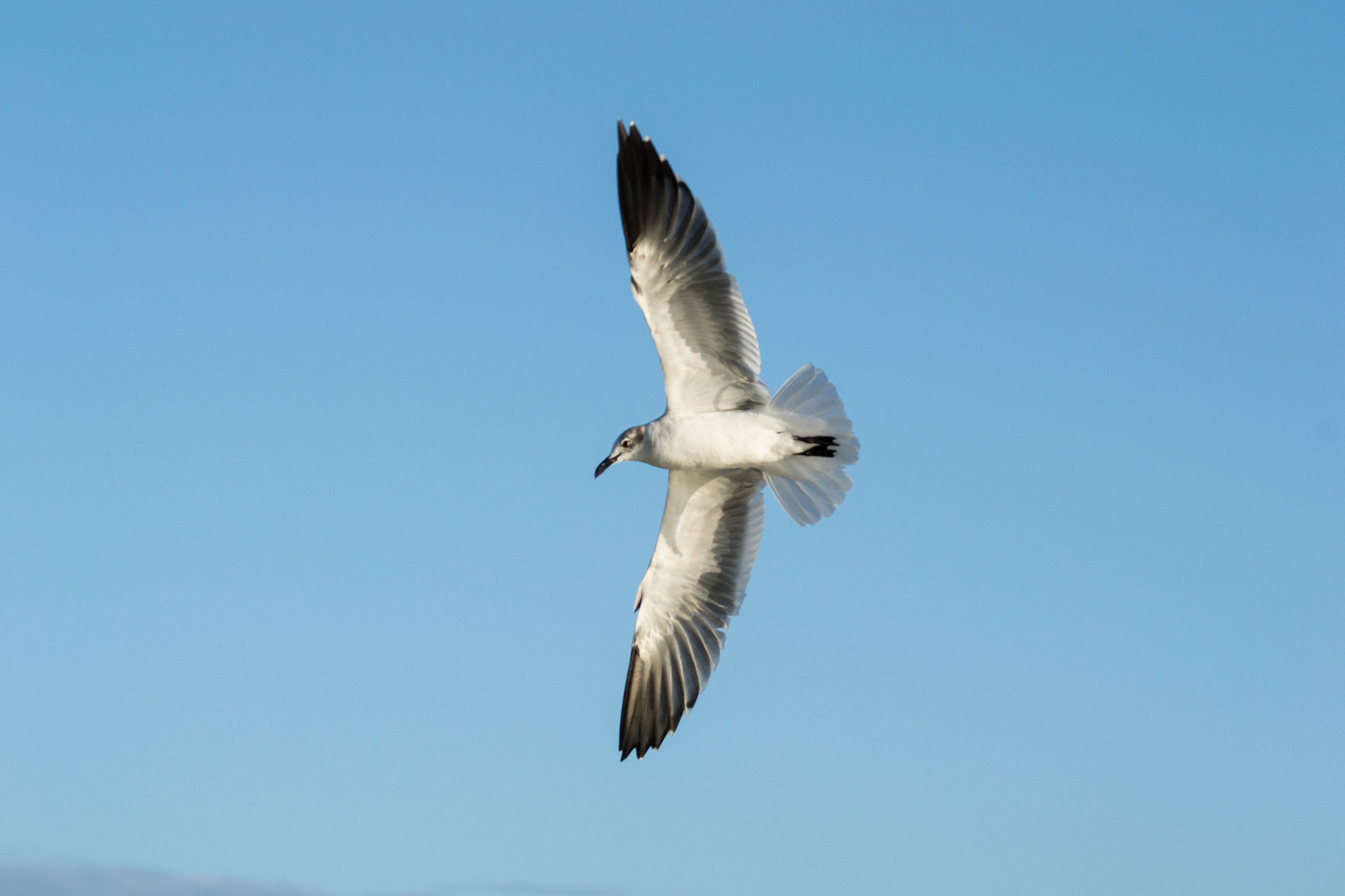 Sigma 120-400mm F4.5-5.6 DG OS HSM sample photo. Break photography