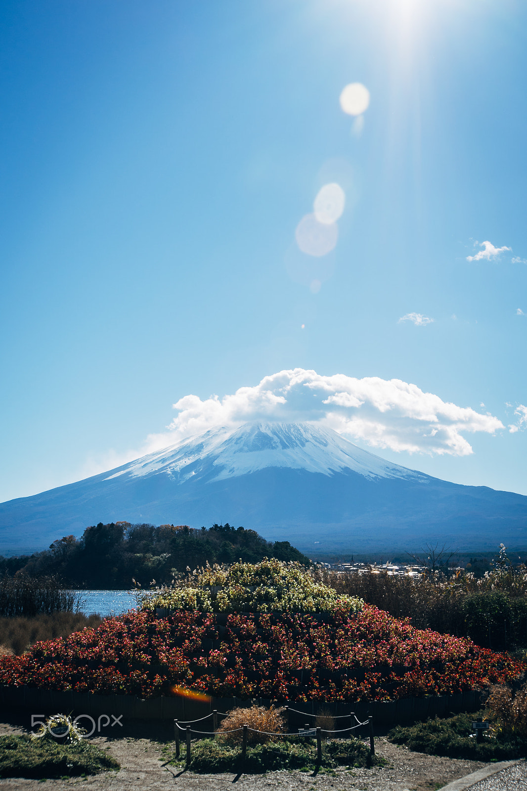 Sony E 18-200mm F3.5-6.3 OSS LE sample photo. Fuji mount in japan photography