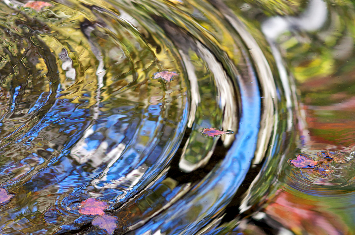 smc PENTAX-FA Macro 100mm F2.8 sample photo. Wave form (2013) photography