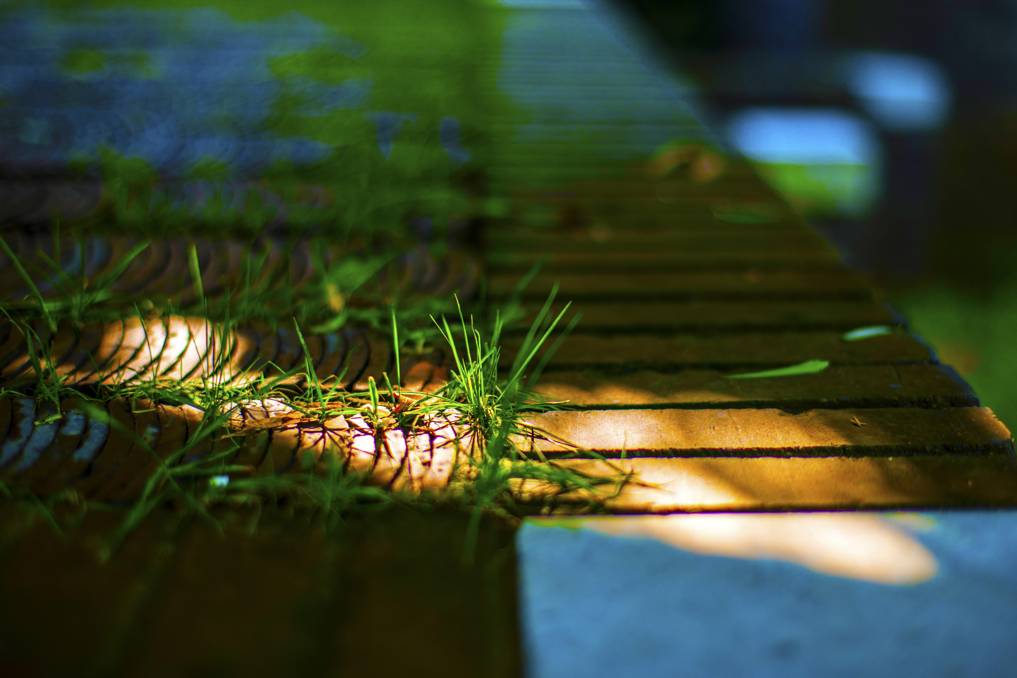 ZEISS Planar T* 50mm F1.4 sample photo. 一米阳光 photography