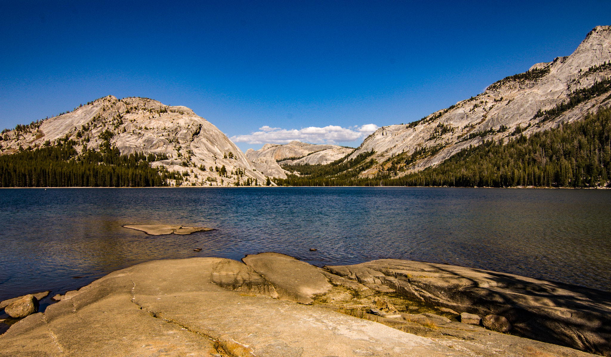 Nikon D40 sample photo. Lakeside photography