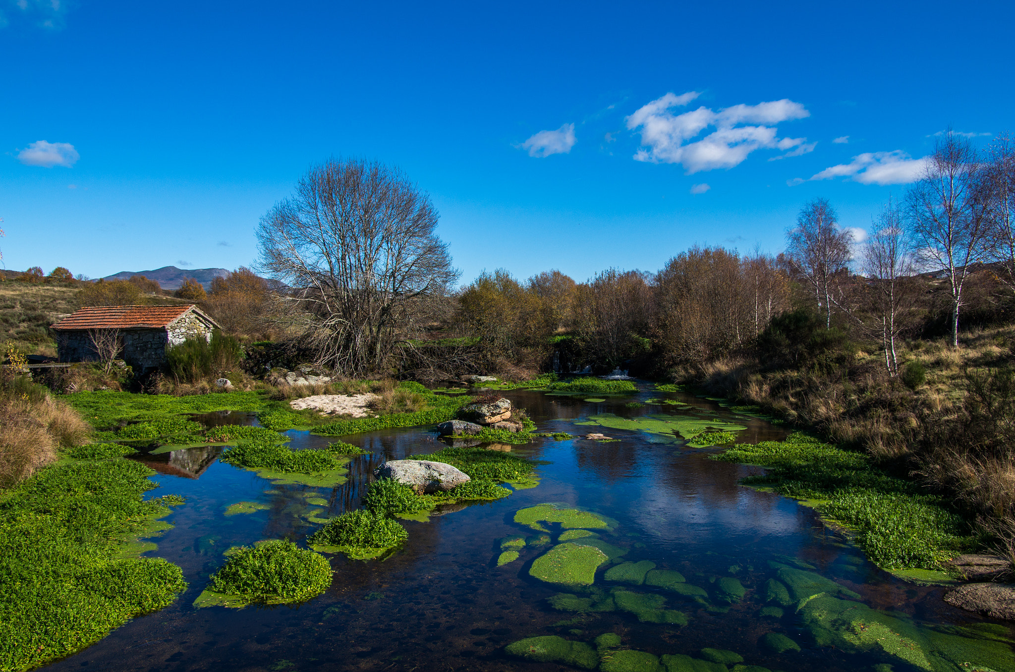 Pentax smc DA* 16-50mm F2.8 ED AL (IF) SDM sample photo. Donães montalegre photography