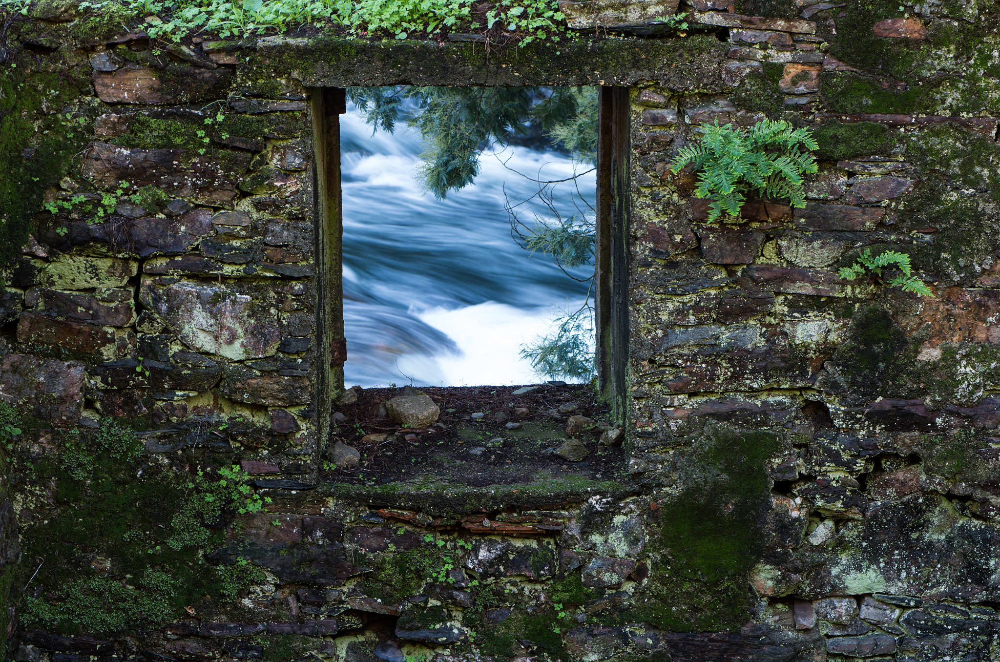 Pentax smc DA* 50-135mm F2.8 ED (IF) SDM sample photo. Rio ferreira valongo photography