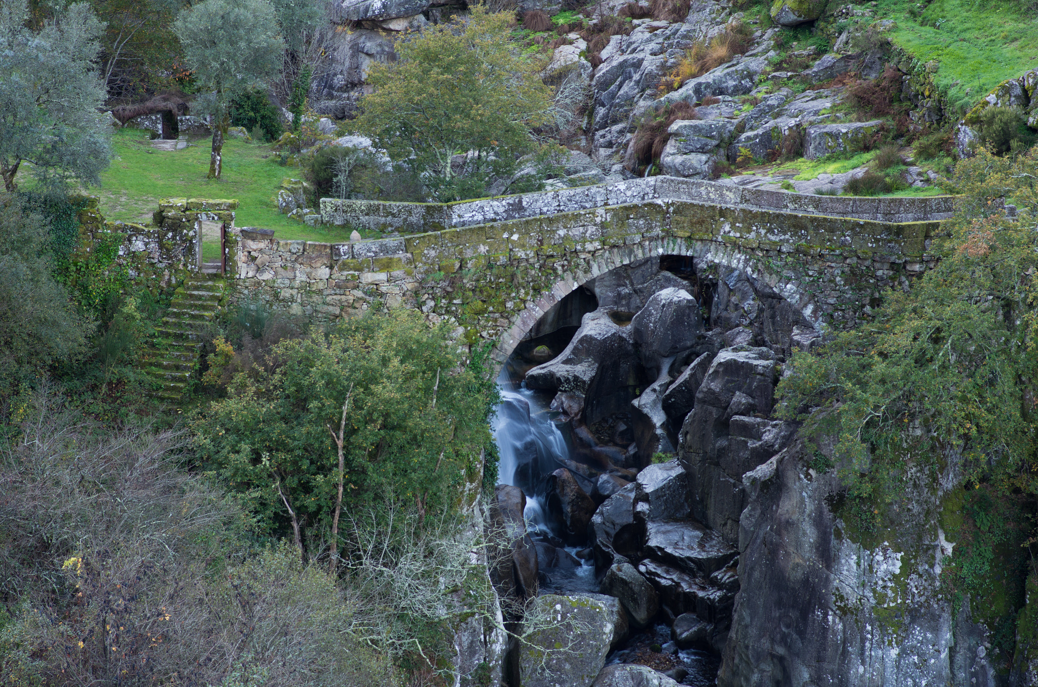 Pentax smc D-FA 100mm F2.8 macro sample photo. Ponte da misarela ferral photography