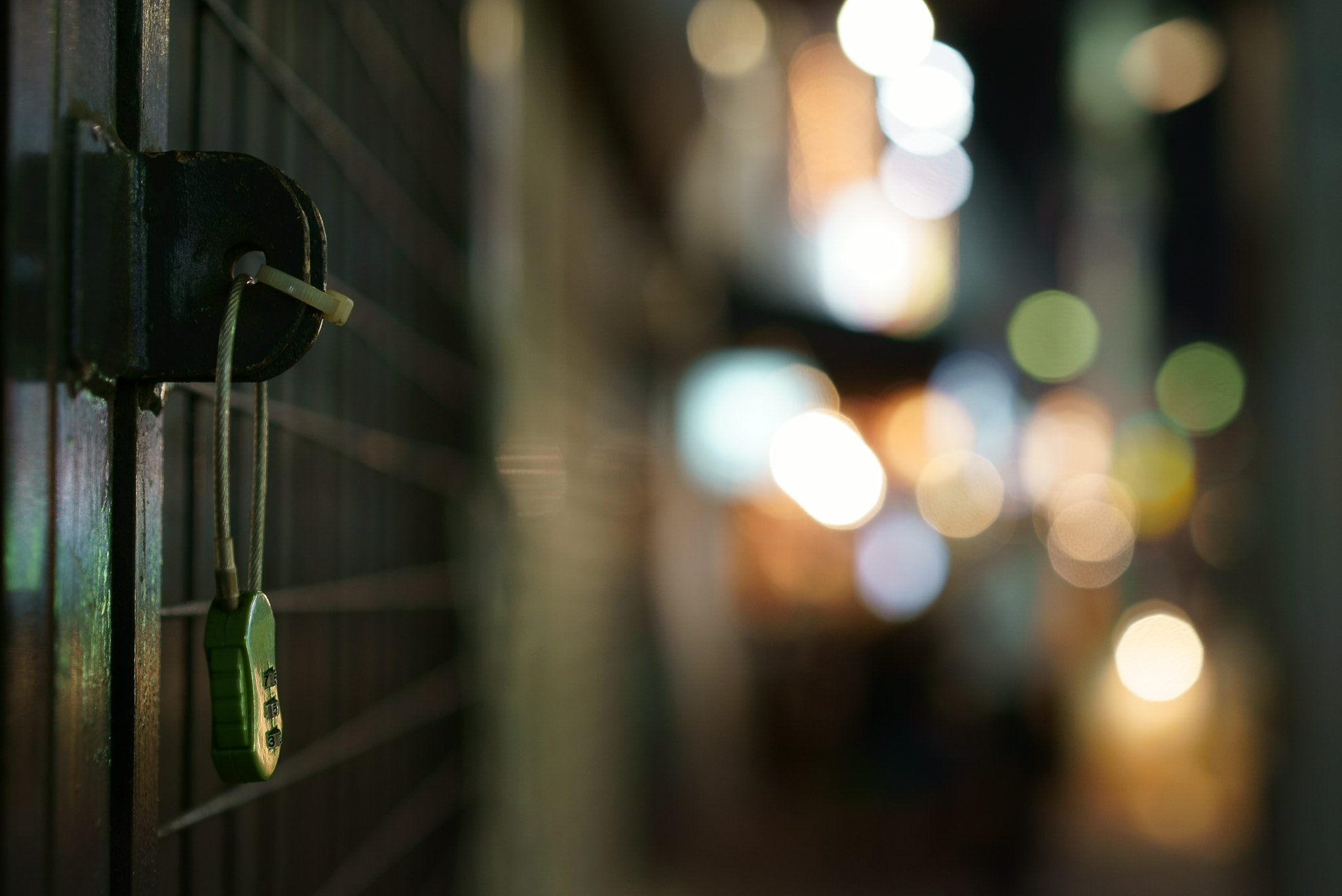 Sony a7S + Sony Sonnar T* FE 55mm F1.8 ZA sample photo. Easy lock photography