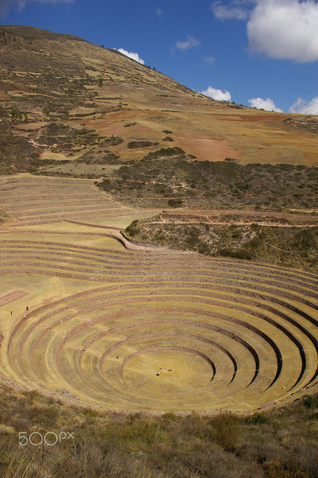 Pentax *ist DL2 sample photo. Inca terracing photography