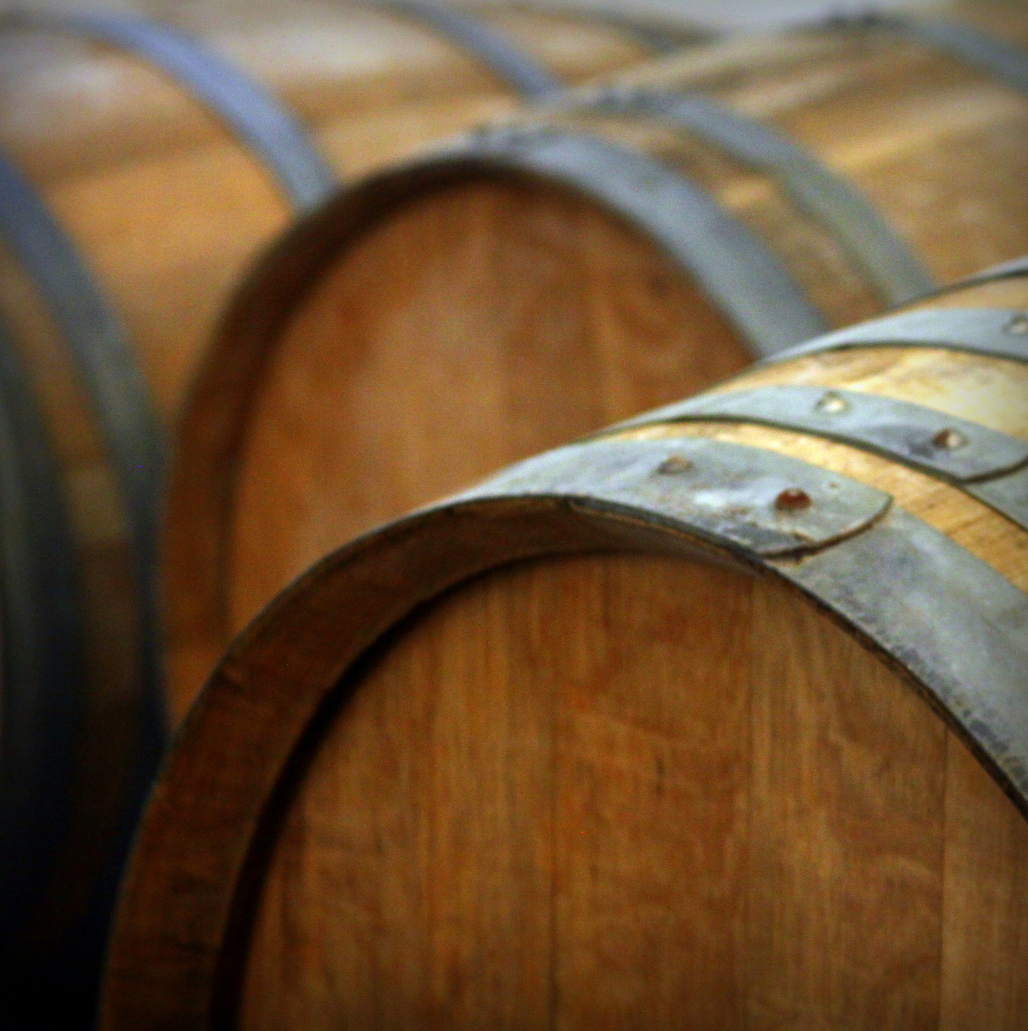 Canon EF 28-90mm f/4-5.6 sample photo. Michigan wine country photography