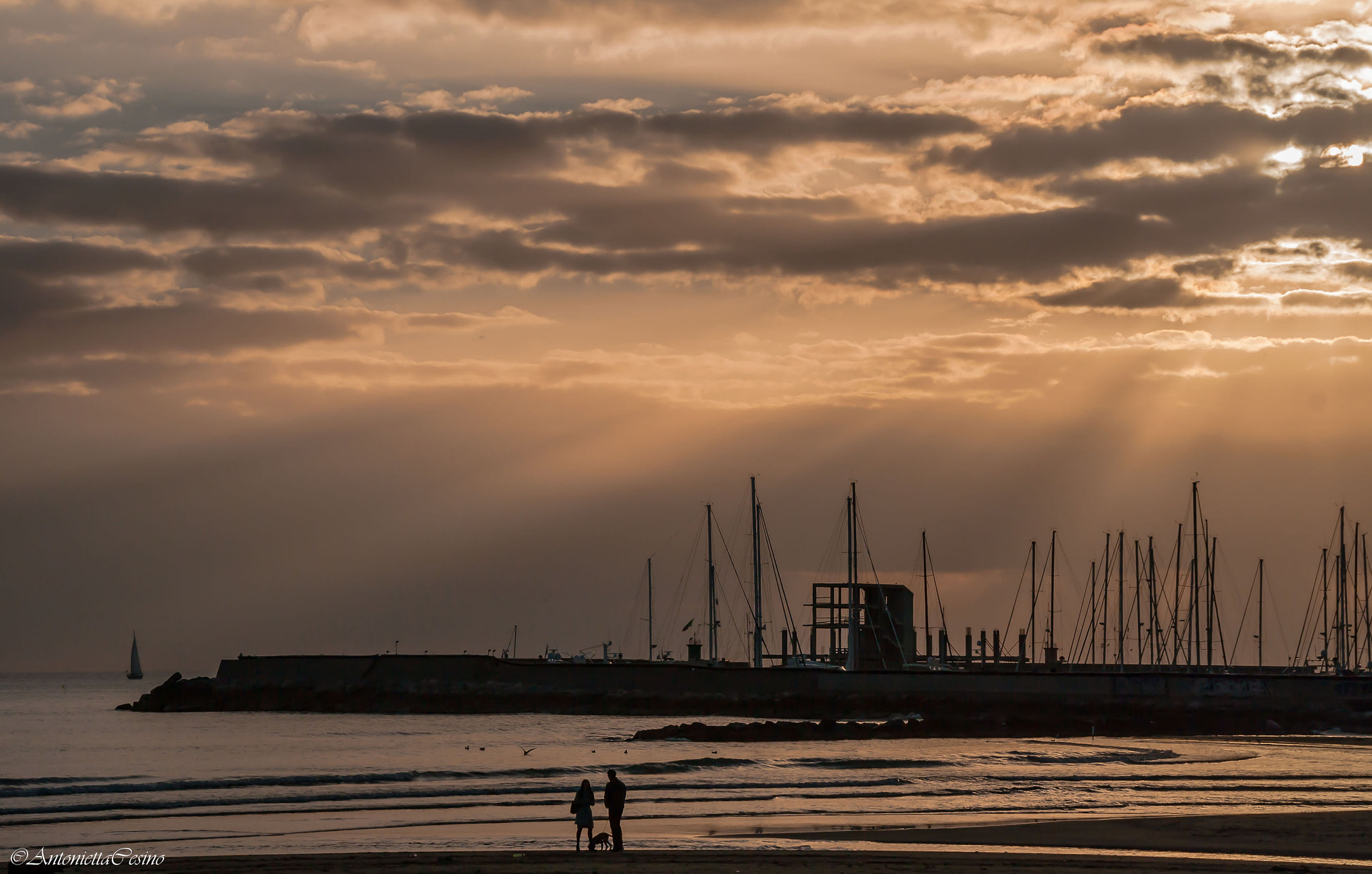 Sigma 18-250mm F3.5-6.3 DC OS HSM sample photo. On the shore photography