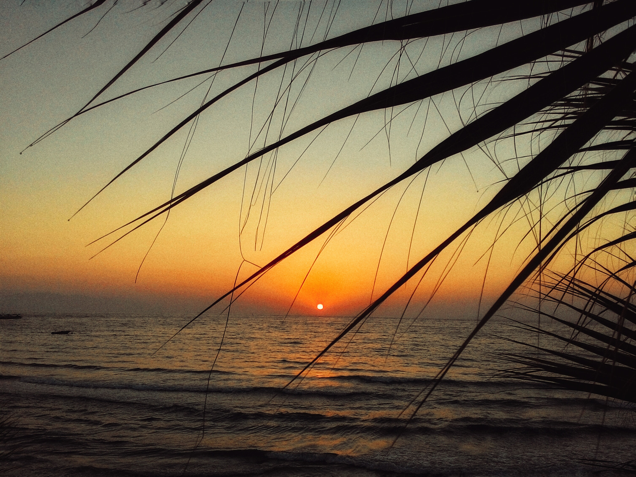 ASUS T00J-D sample photo. "sunset" photography