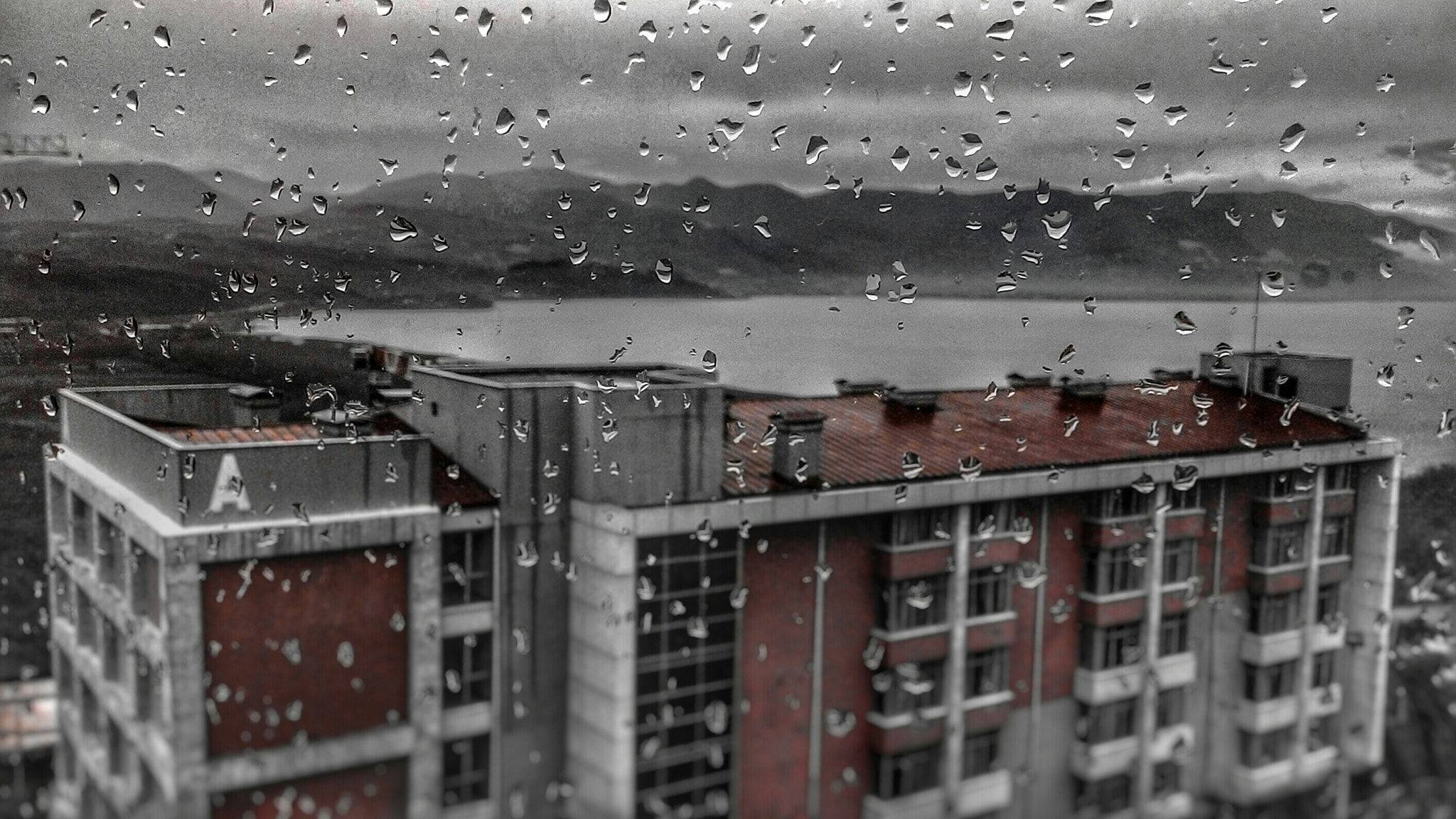 ASUS T00J-D sample photo. "rain" photography