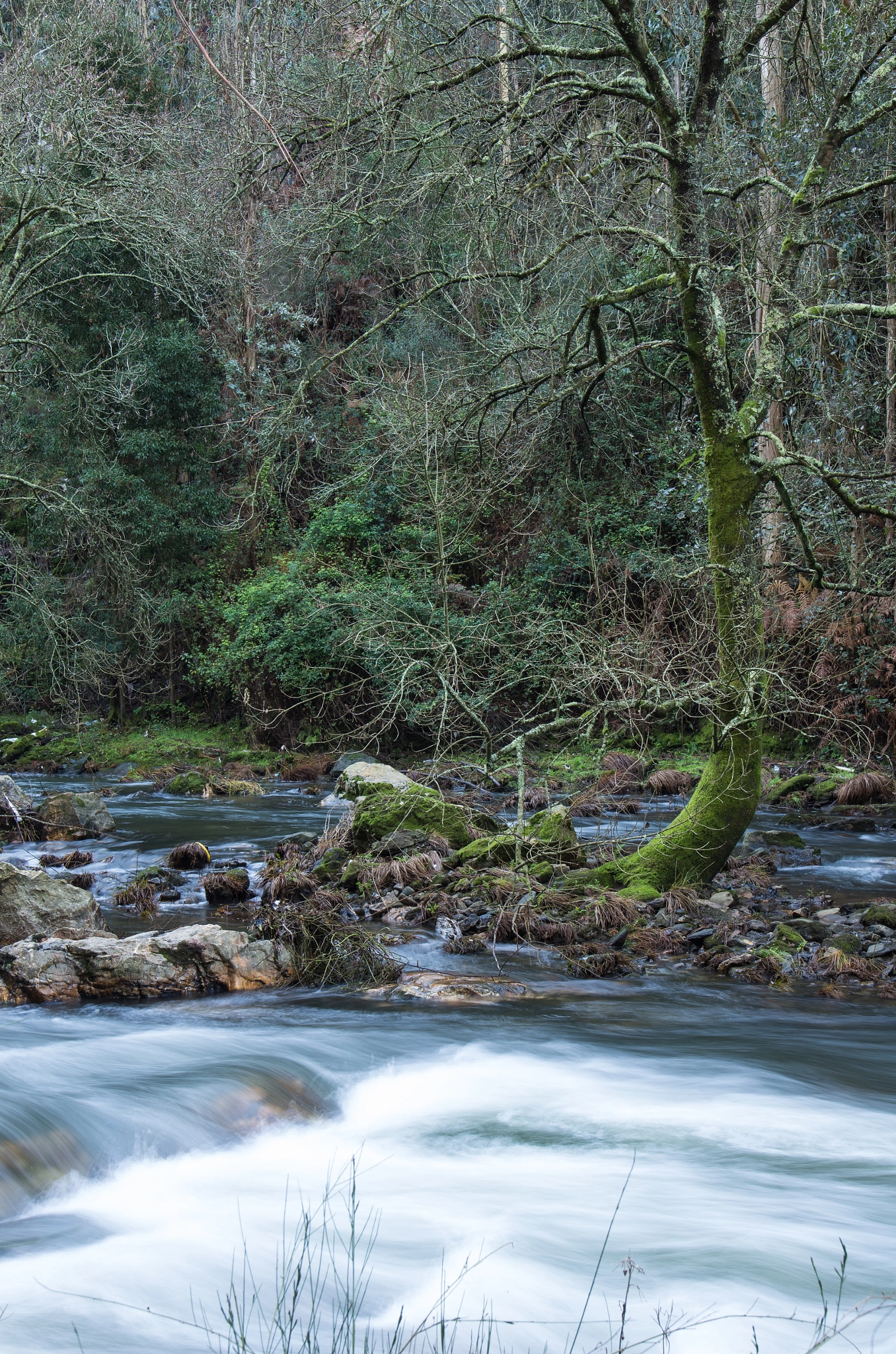 Pentax smc DA* 16-50mm F2.8 ED AL (IF) SDM sample photo. Rio ferreira valongo photography
