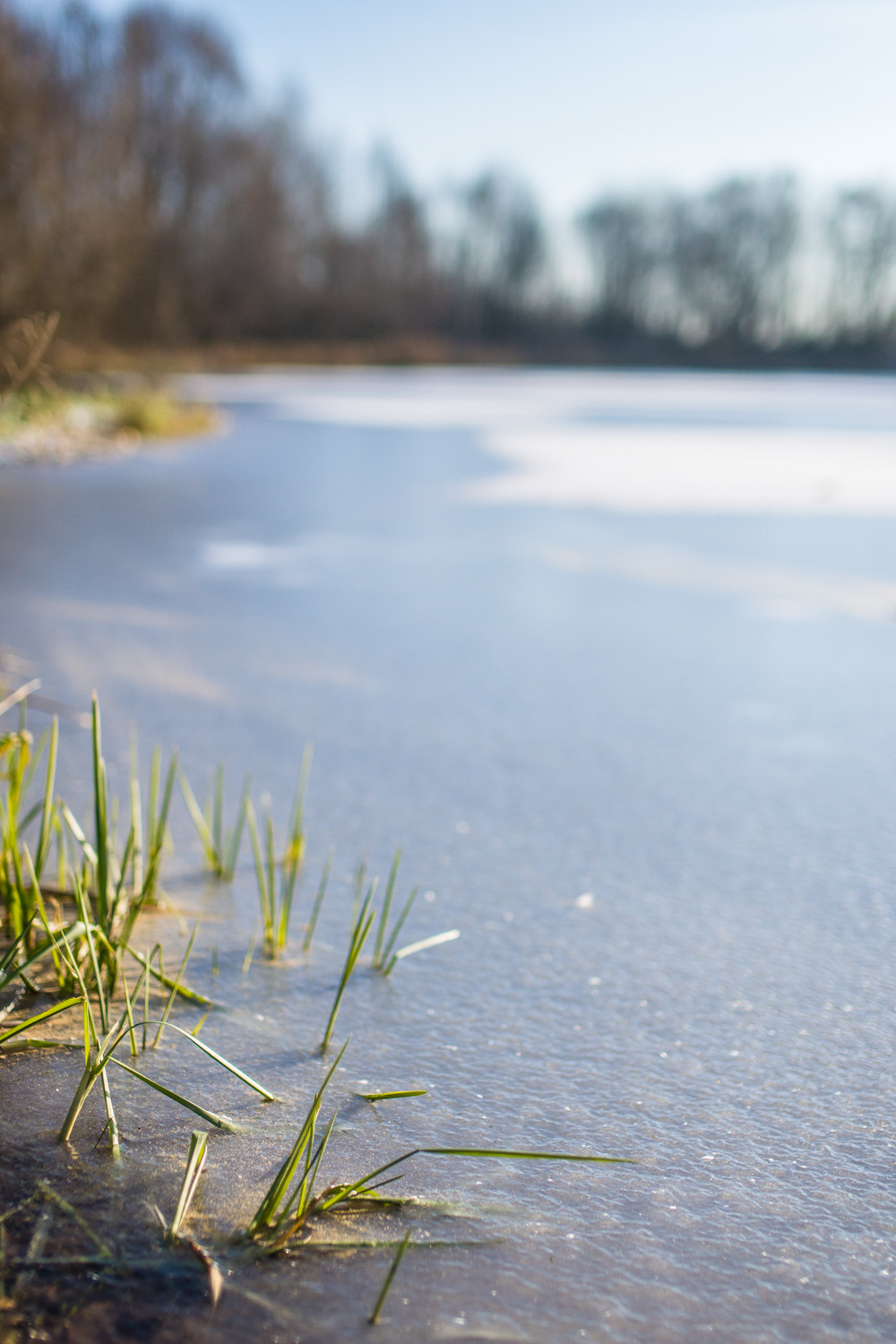 Sony Alpha DSLR-A850 + Sigma 50mm F1.4 EX DG HSM sample photo. First ice photography