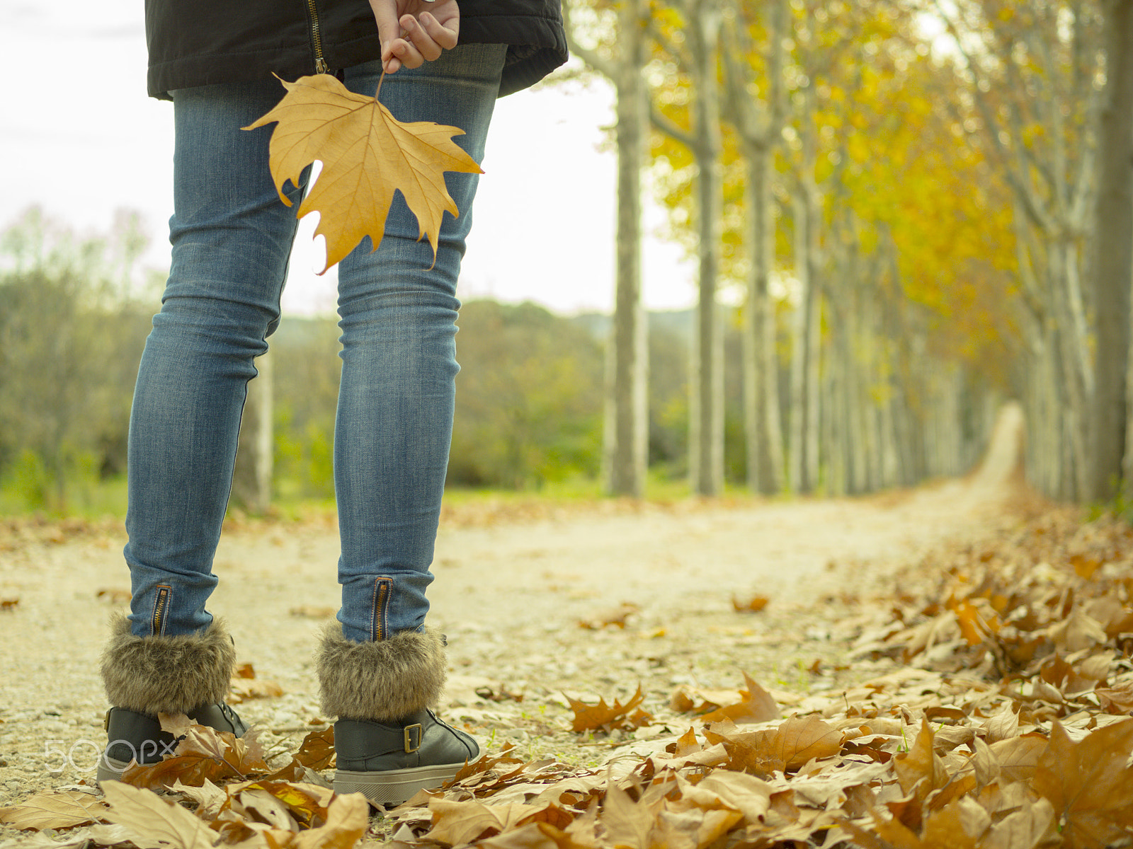 Panasonic Lumix DMC-GH3 + LUMIX G 25/F1.7 sample photo. Chica con hoja seca de otoño photography