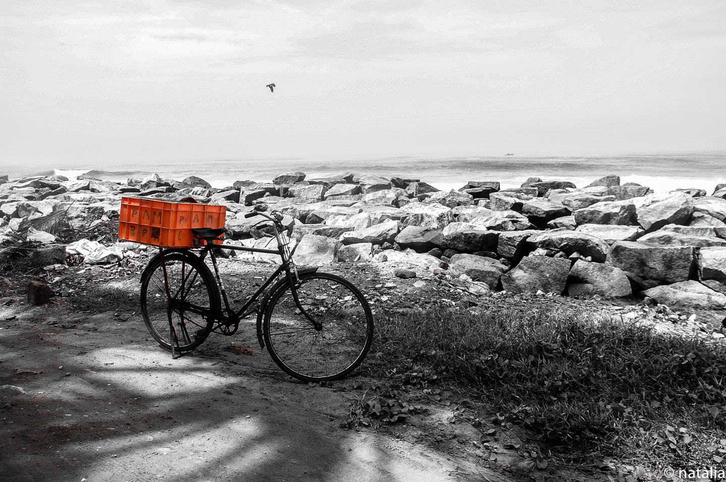 Nikon D40 + Sigma 18-200mm F3.5-6.3 DC OS HSM sample photo. Lonely bicicle photography