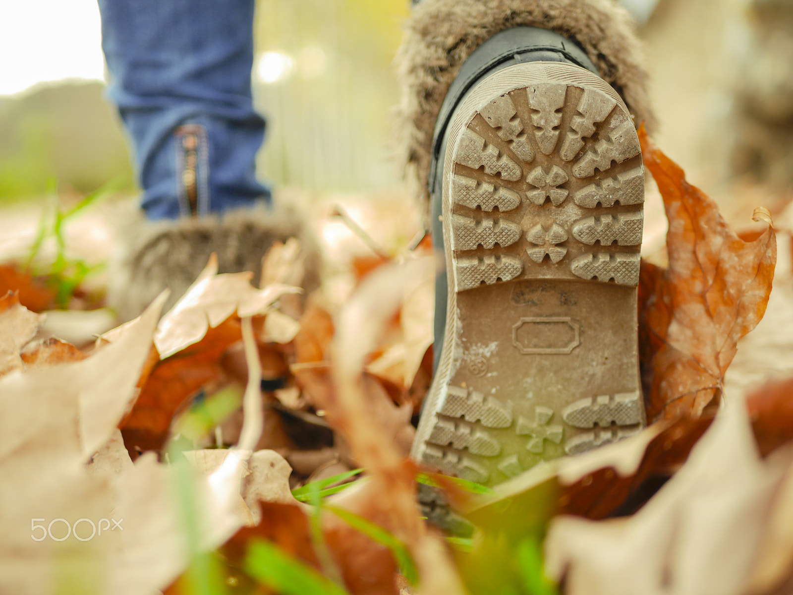 Panasonic Lumix DMC-GH3 + LUMIX G 25/F1.7 sample photo. Otoño / caminar sobre hojas secas photography