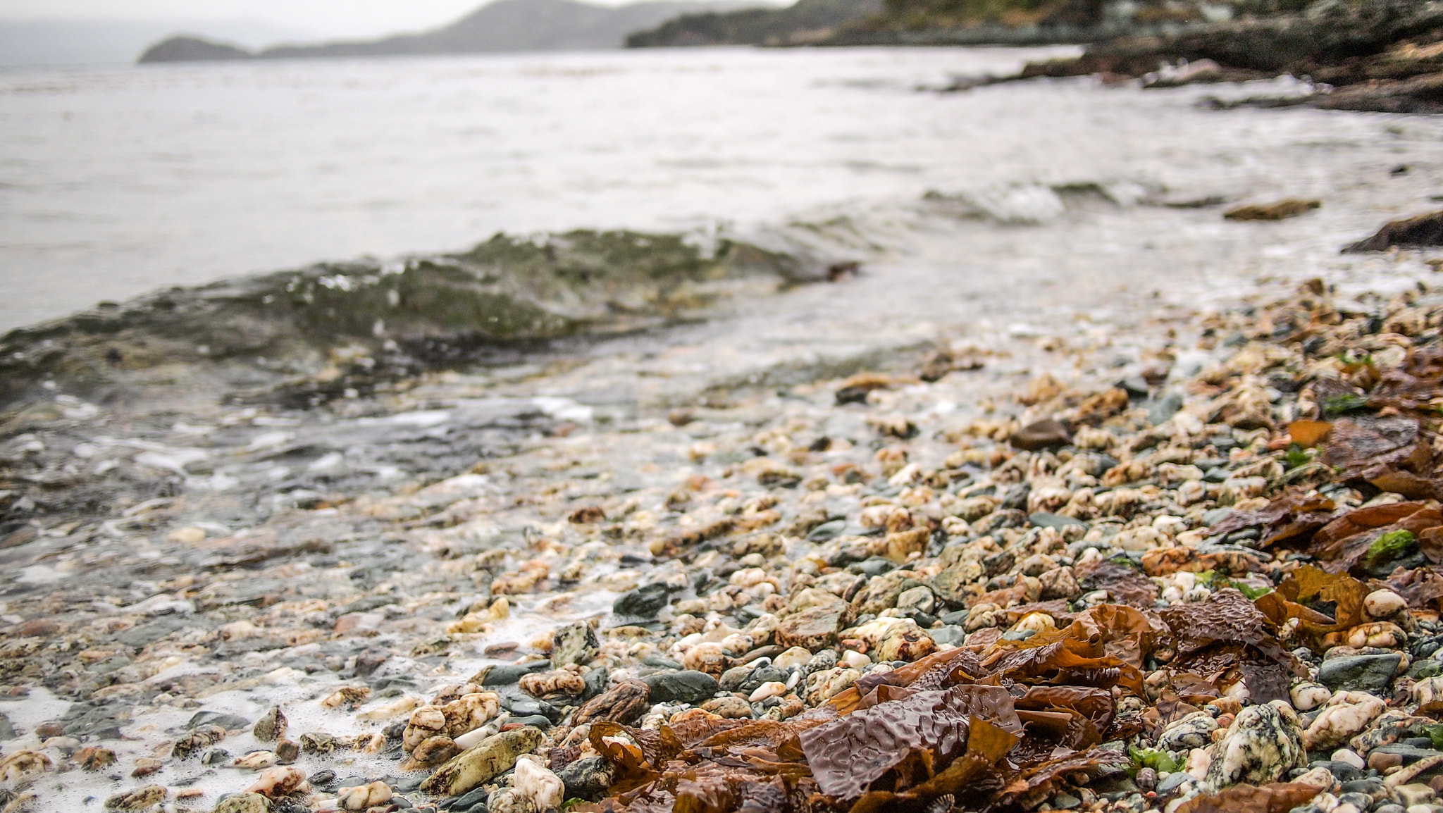 Olympus PEN E-PL1 + Panasonic Lumix G 20mm F1.7 ASPH sample photo. Bahia ensenada photography