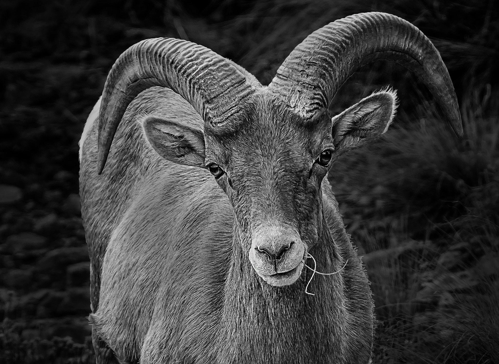 Canon EF 300mm F2.8L IS USM sample photo. Colorado national monument dark photography