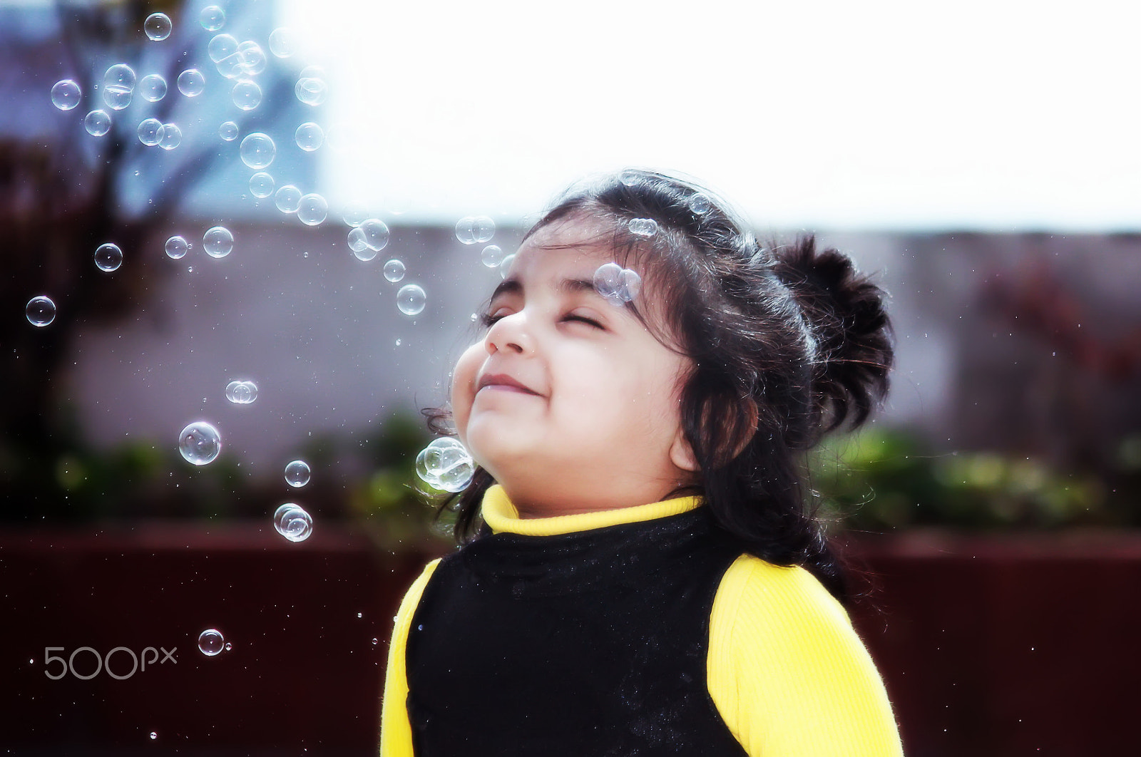 Canon EOS 550D (EOS Rebel T2i / EOS Kiss X4) sample photo. Bliss photography