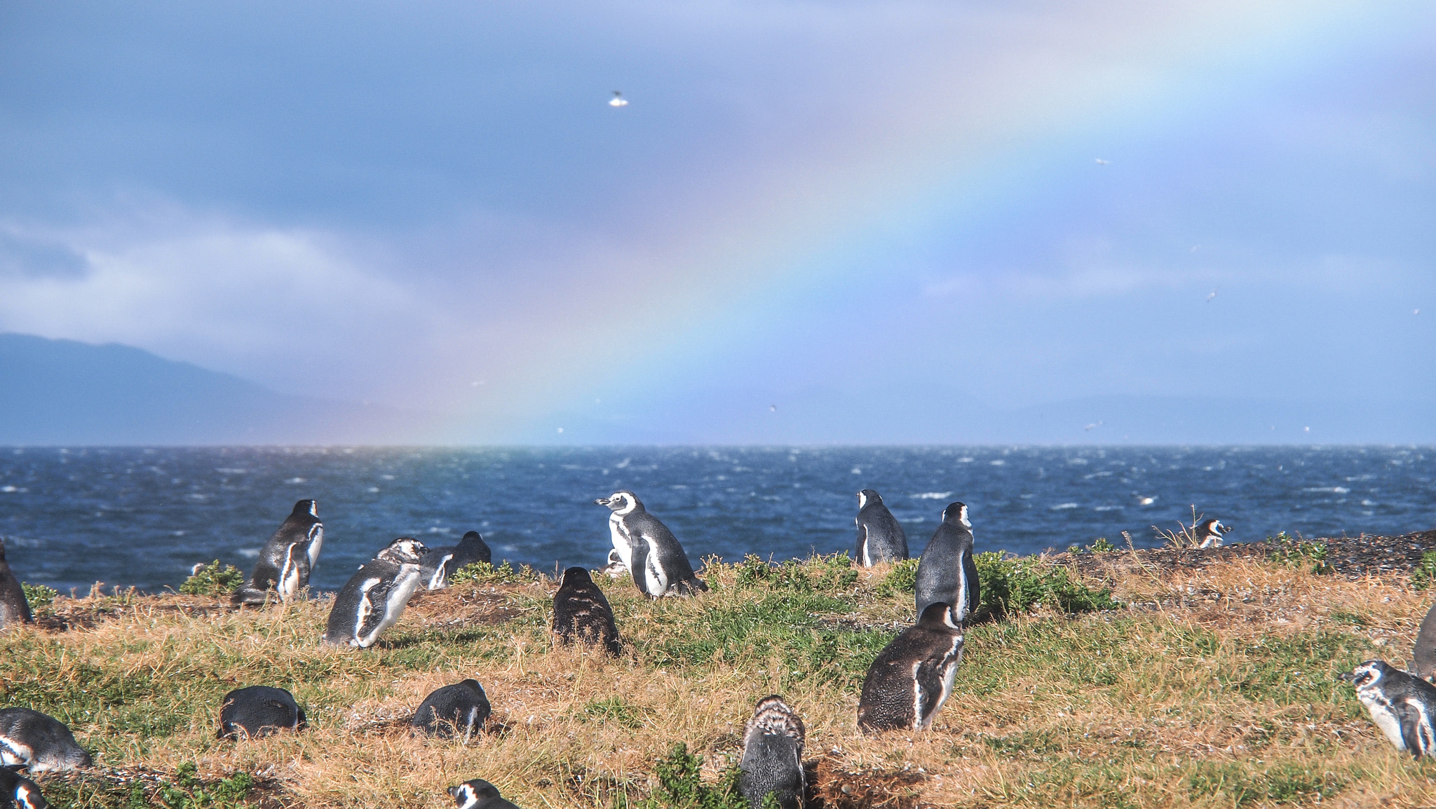 Olympus PEN E-P1 sample photo. Rainbow over isla martillo photography
