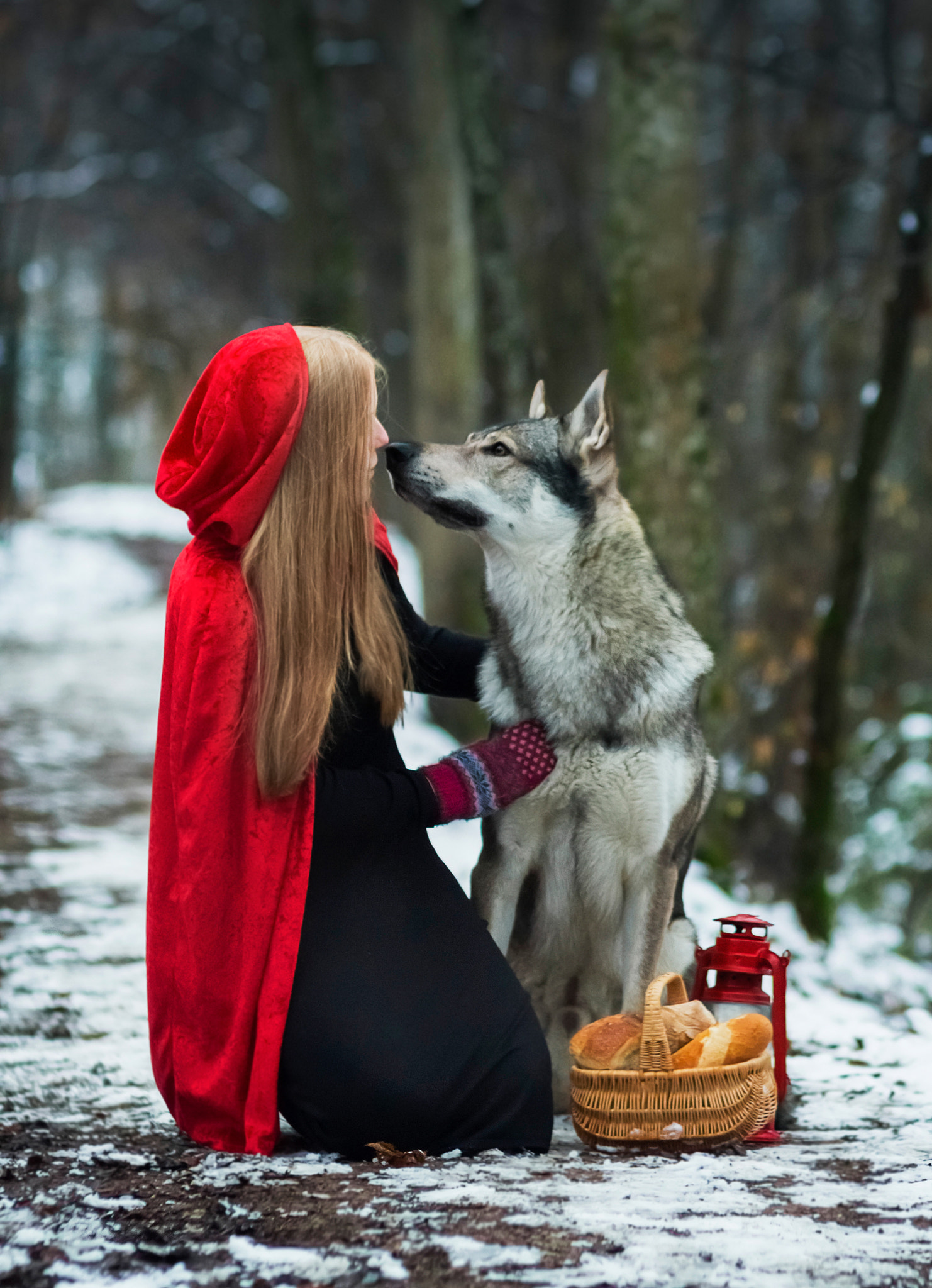 Canon EOS 100D (EOS Rebel SL1 / EOS Kiss X7) + Canon EF 85mm F1.8 USM sample photo. Little red riding hood and wolf photography