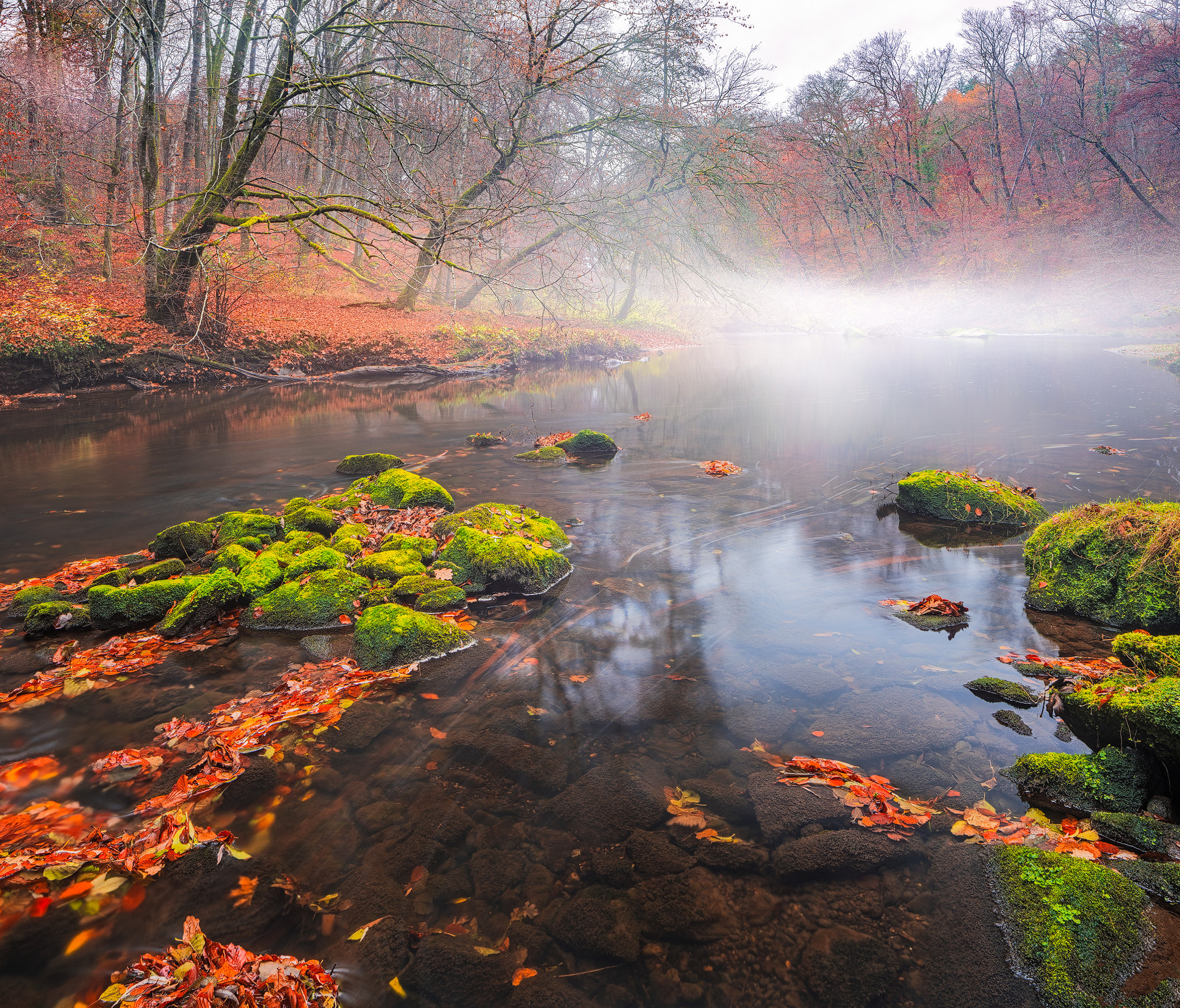 Canon TS-E 24.0mm f/3.5 L II sample photo. Last moments of autumn photography