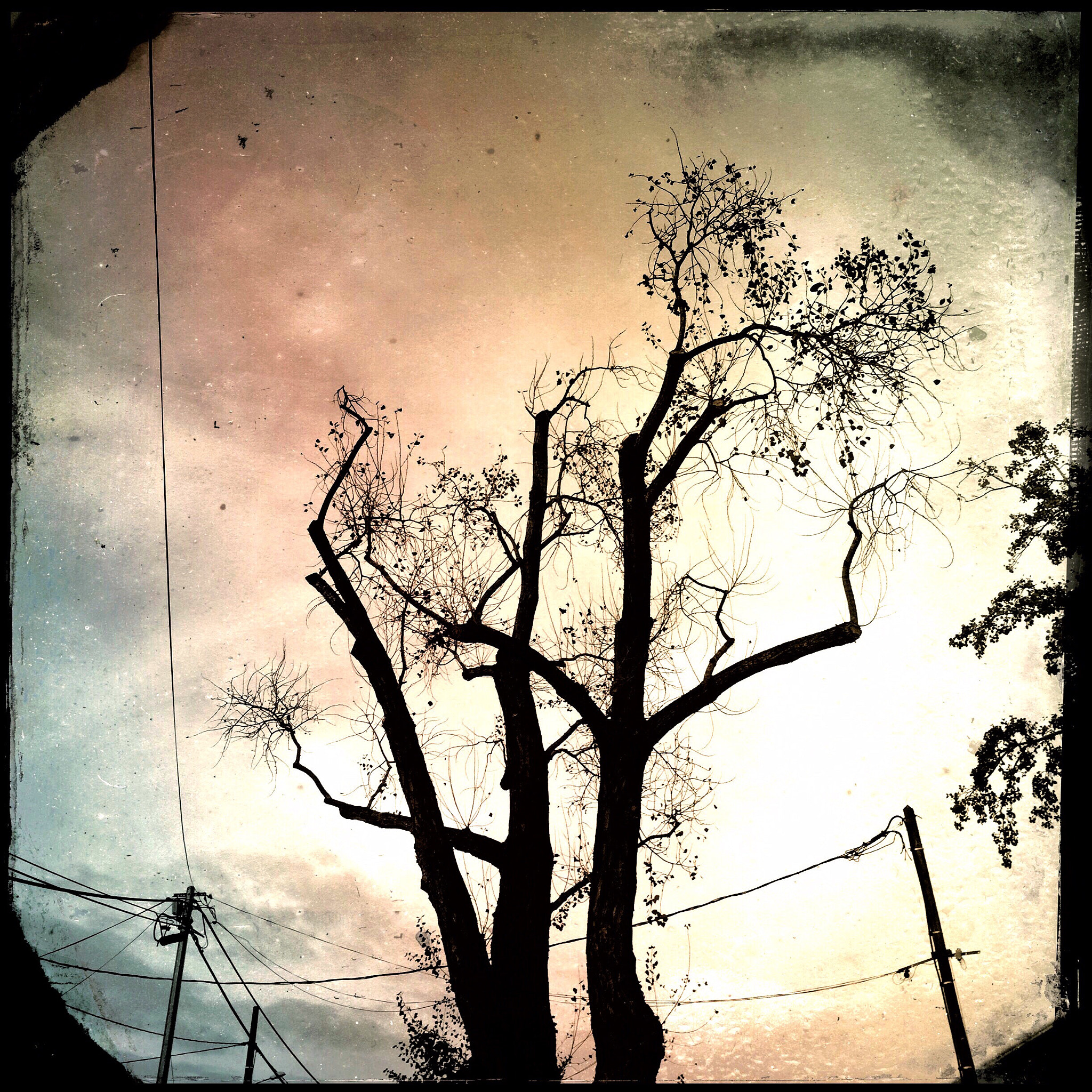 Hipstamatic 303 sample photo