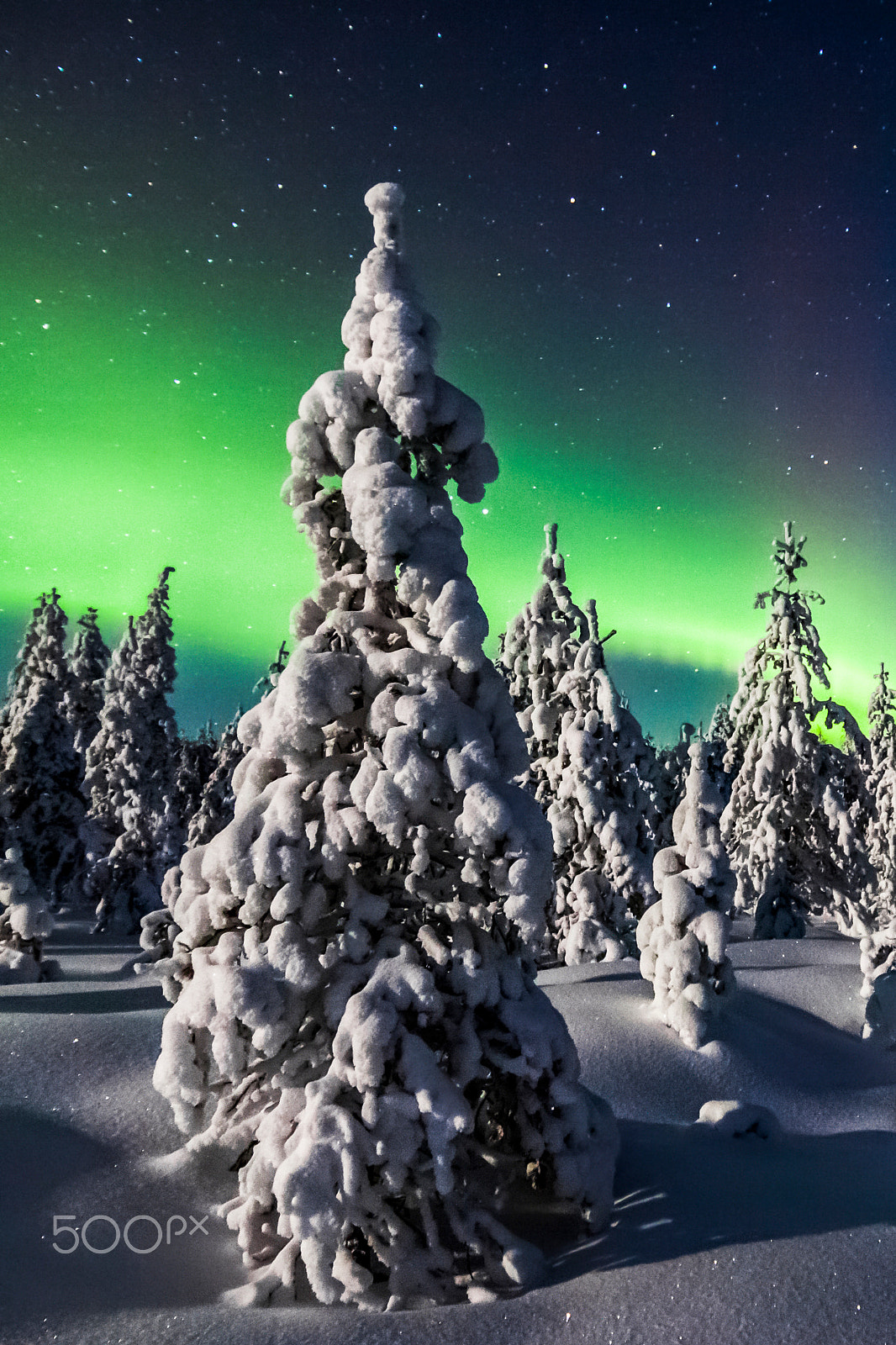 Tokina AT-X Pro 12-24mm F4 (IF) DX sample photo. Exotic north photography