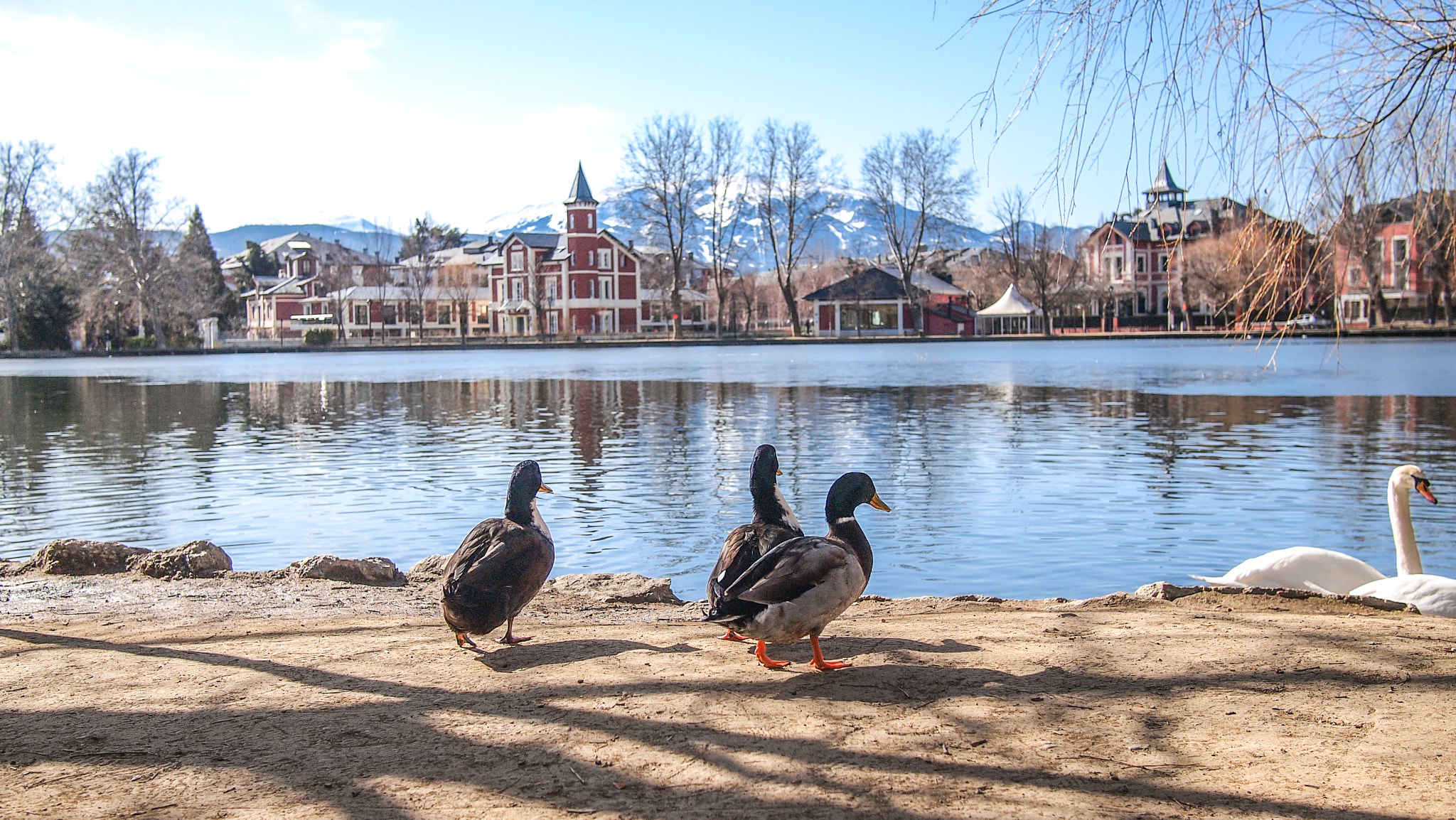 Olympus PEN E-PL1 + Panasonic Lumix G 20mm F1.7 ASPH sample photo. Puigcerda photography