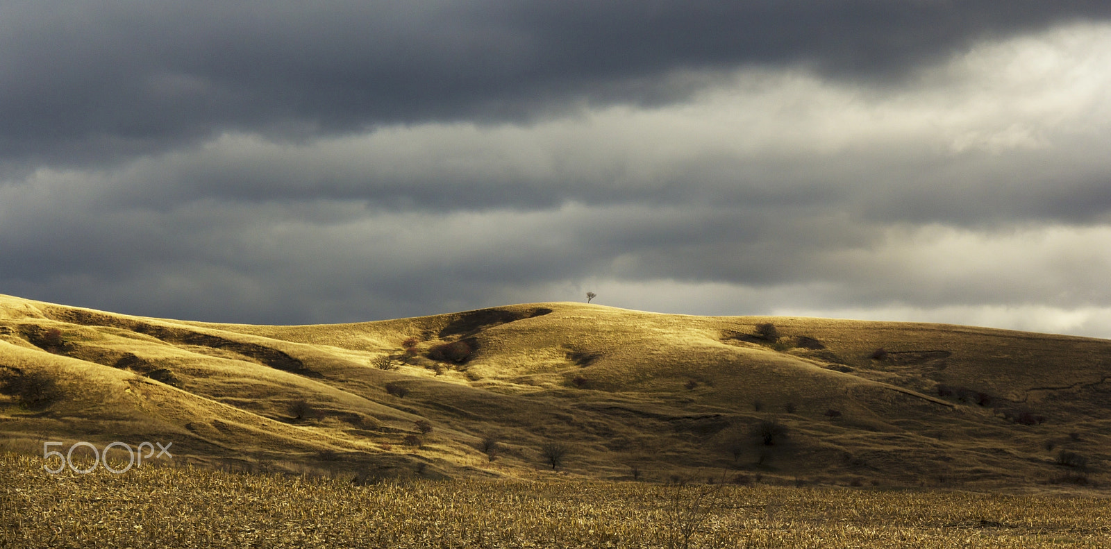 Canon EF 24-105mm F3.5-5.6 IS STM sample photo. On top of the hill photography