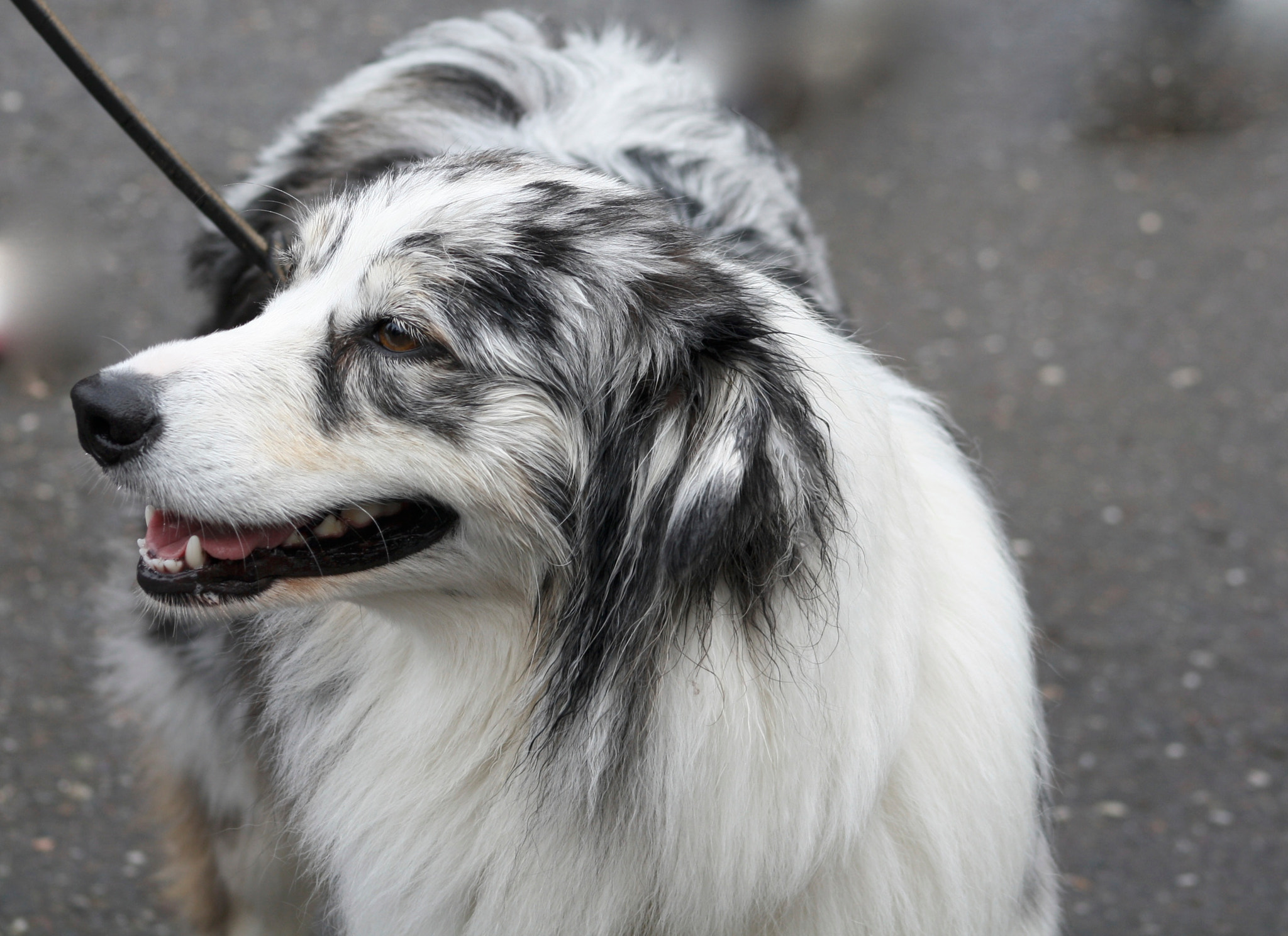 Canon EF 75-300mm f/4-5.6 USM sample photo. __on a hike__ photography