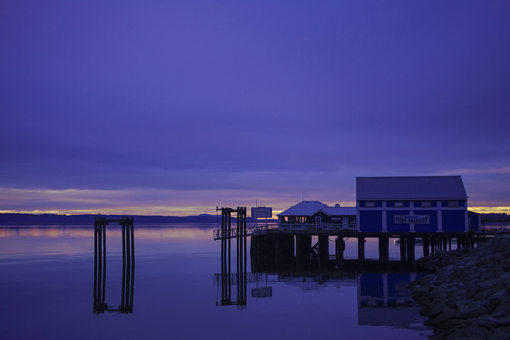 Canon EOS 5D Mark II + Canon TS-E 45mm F2.8 Tilt-Shift sample photo. Sunrise at sidney photography