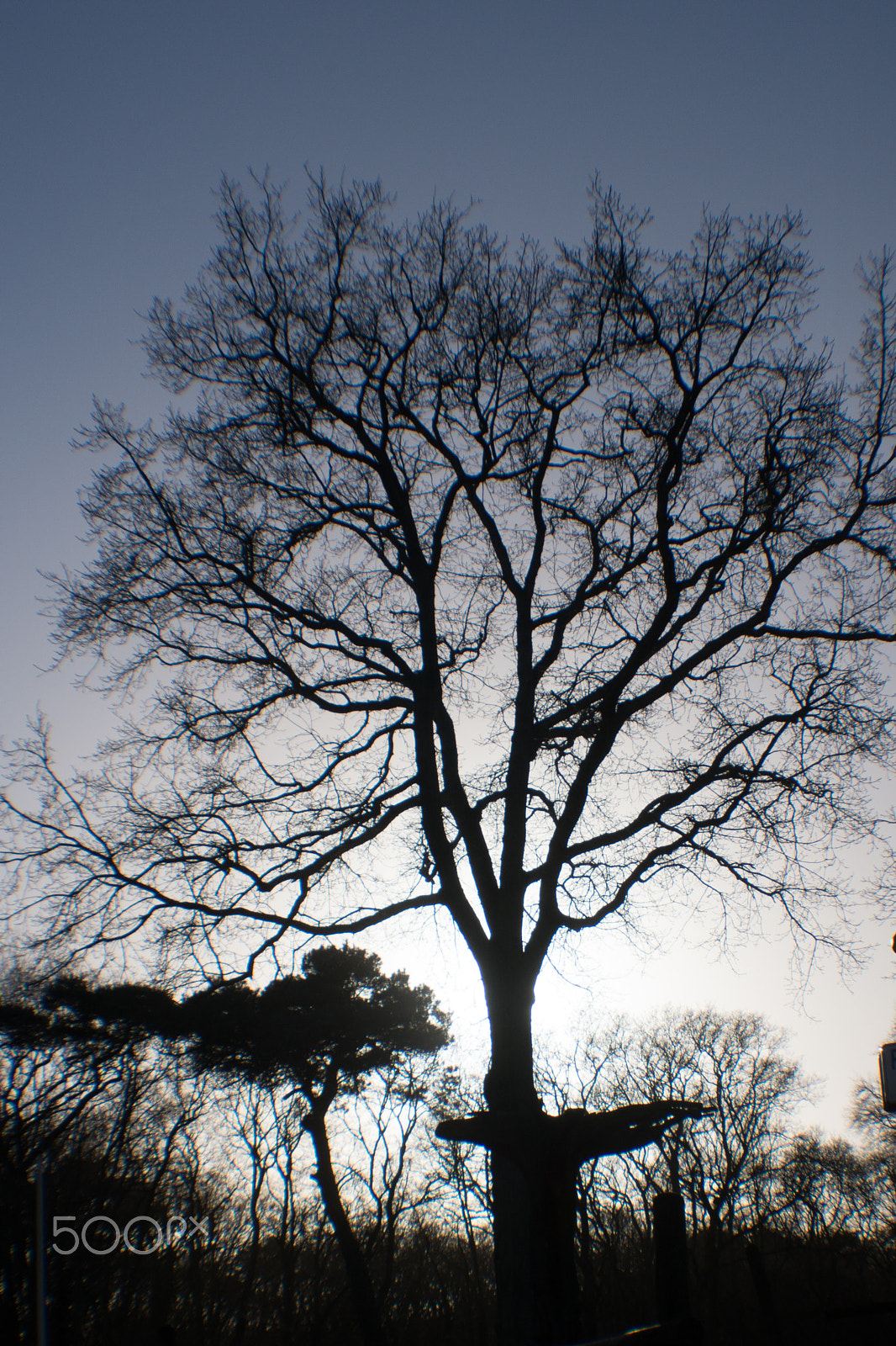 Sony DT 18-70mm F3.5-5.6 sample photo. Fall photography