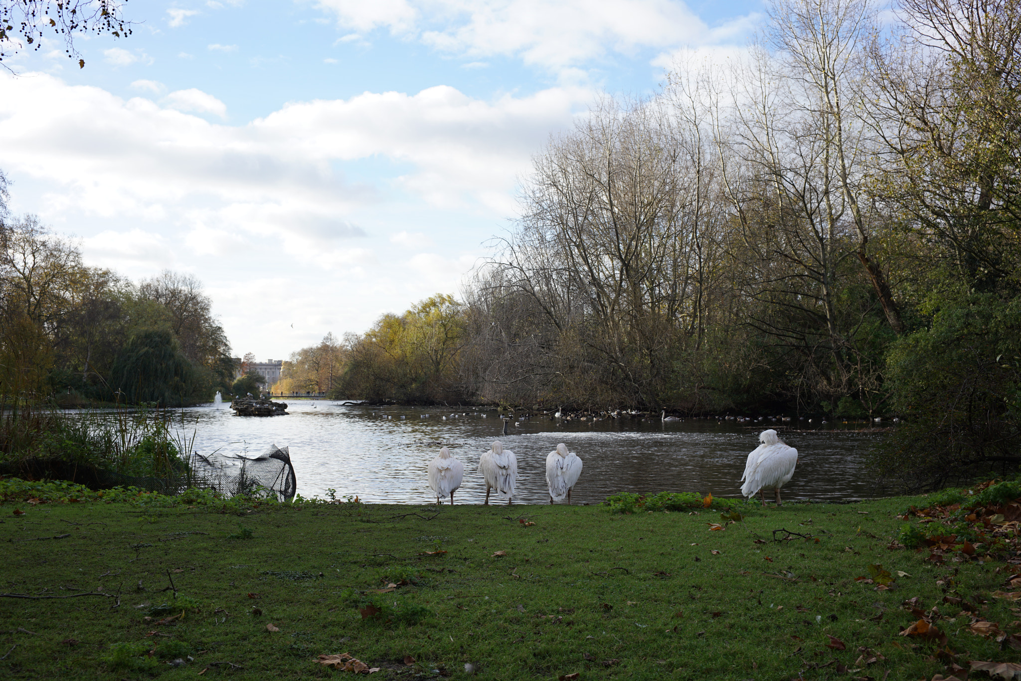 ZEISS Loxia 35mm F2 sample photo. Hanging out at hyde park photography