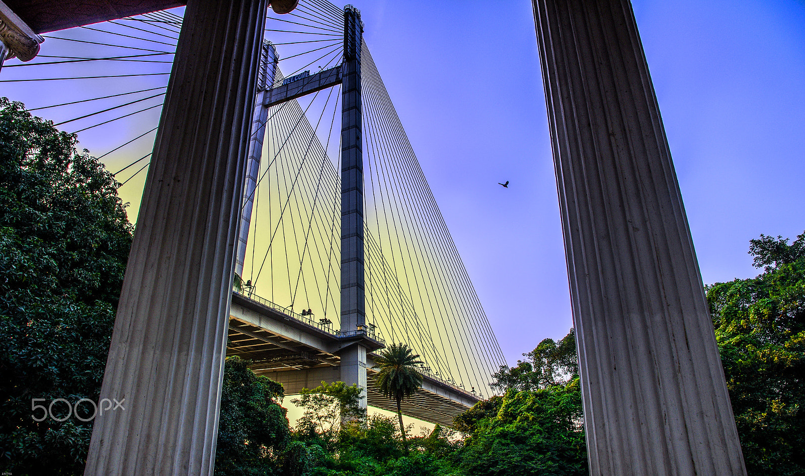 Pentax K-5 IIs sample photo. Up photography