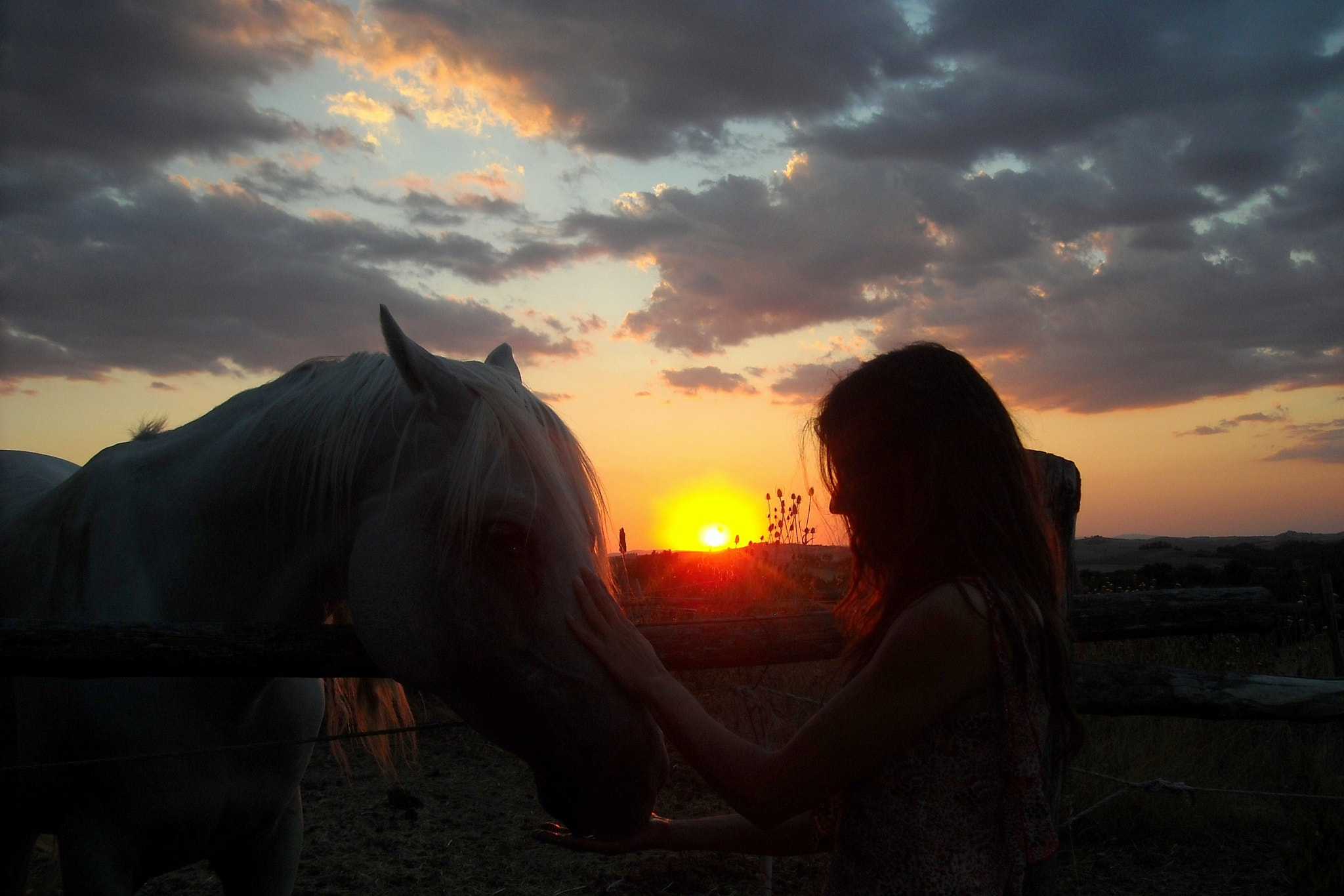 Nikon Coolpix L18 sample photo. Arabian horse & cheyenne woman photography