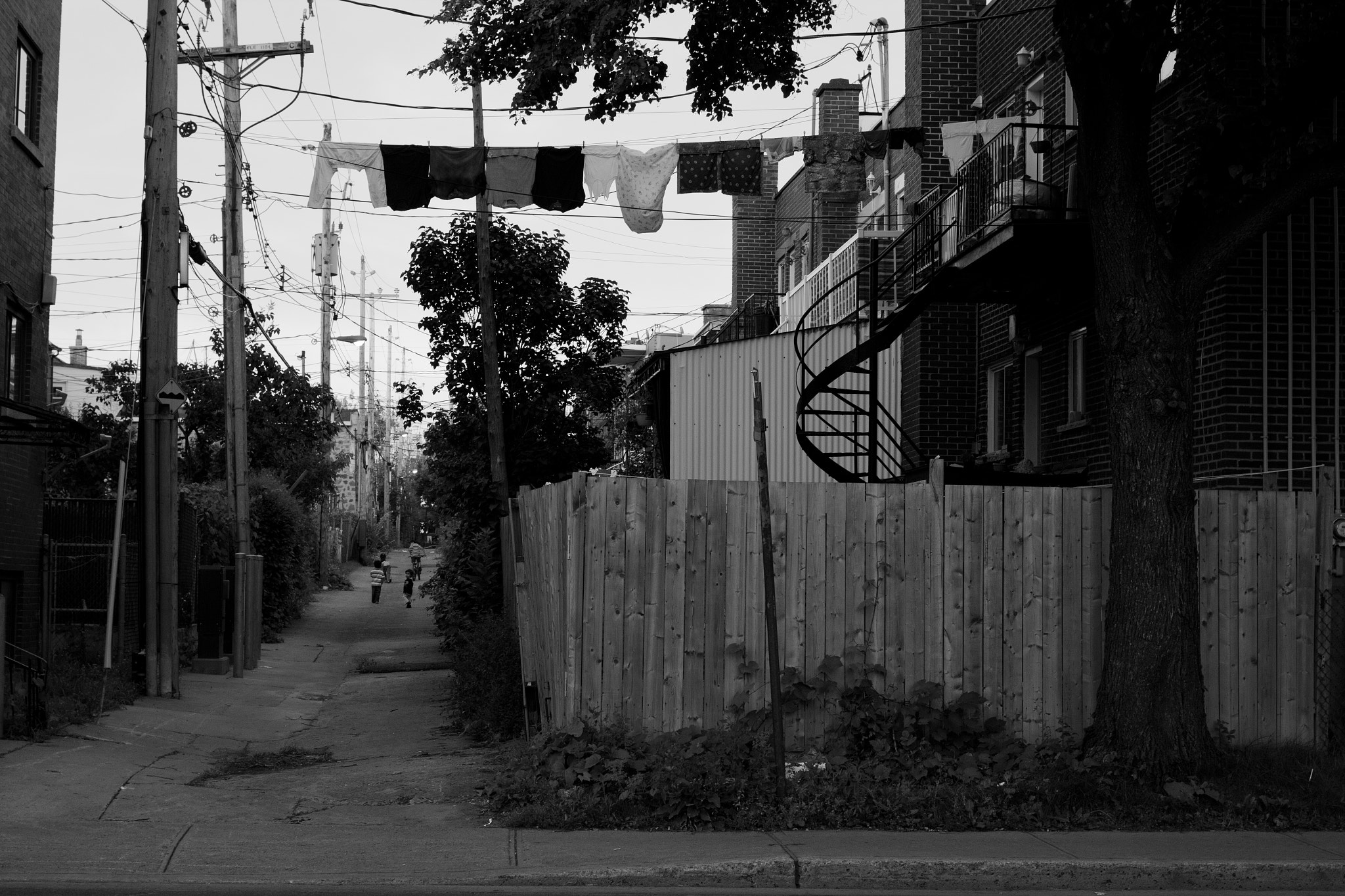 Canon EF 40mm F2.8 STM sample photo. Park ex photography