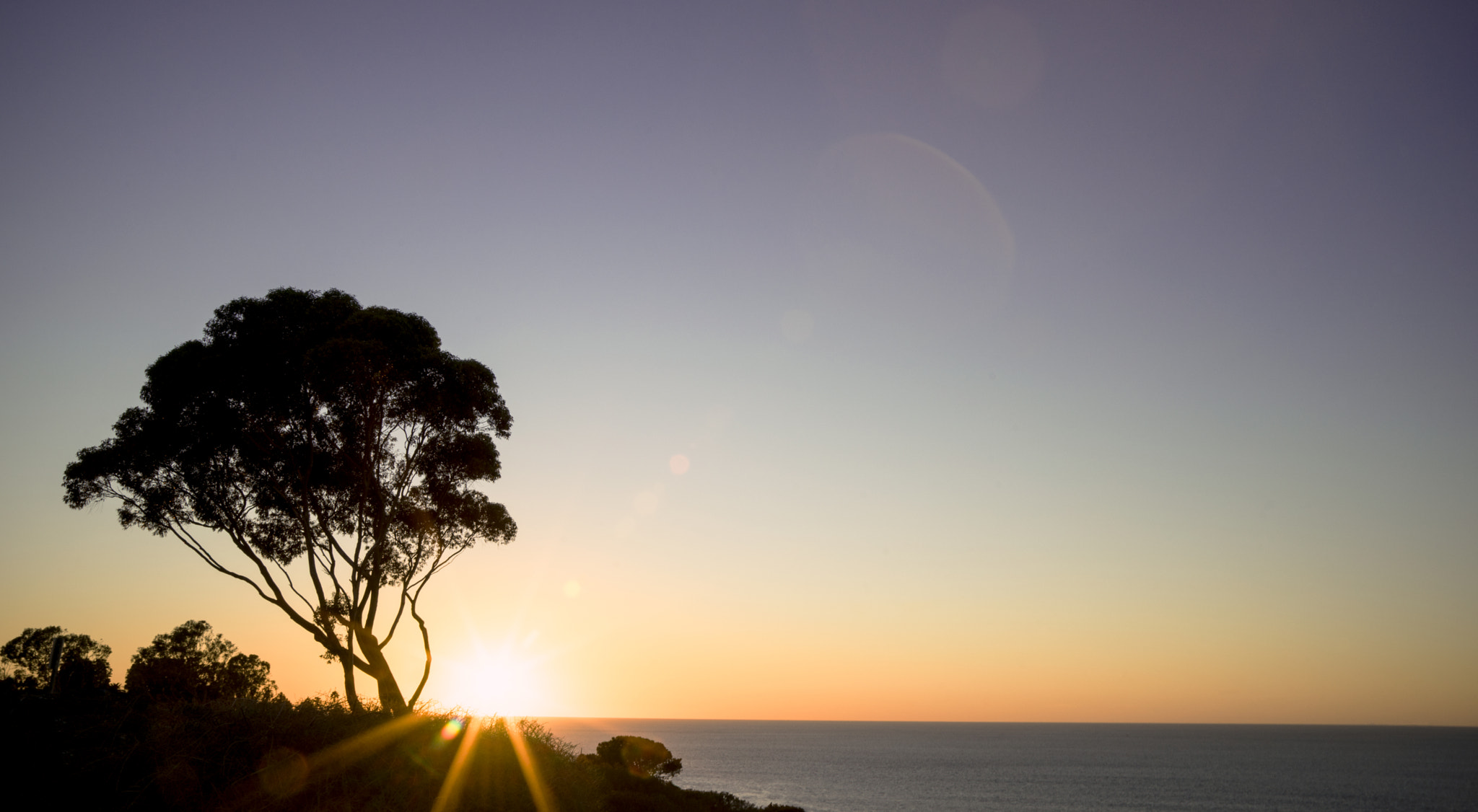 Sony a7 + Canon EF 24-105mm F4L IS USM sample photo. Sunset tree photography