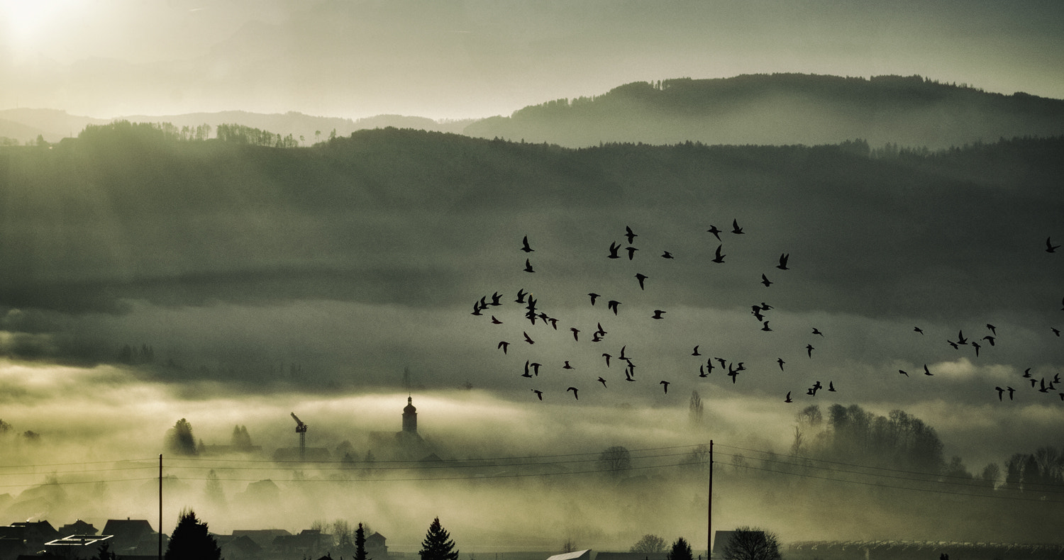 Nikon Df sample photo. Fog town photography