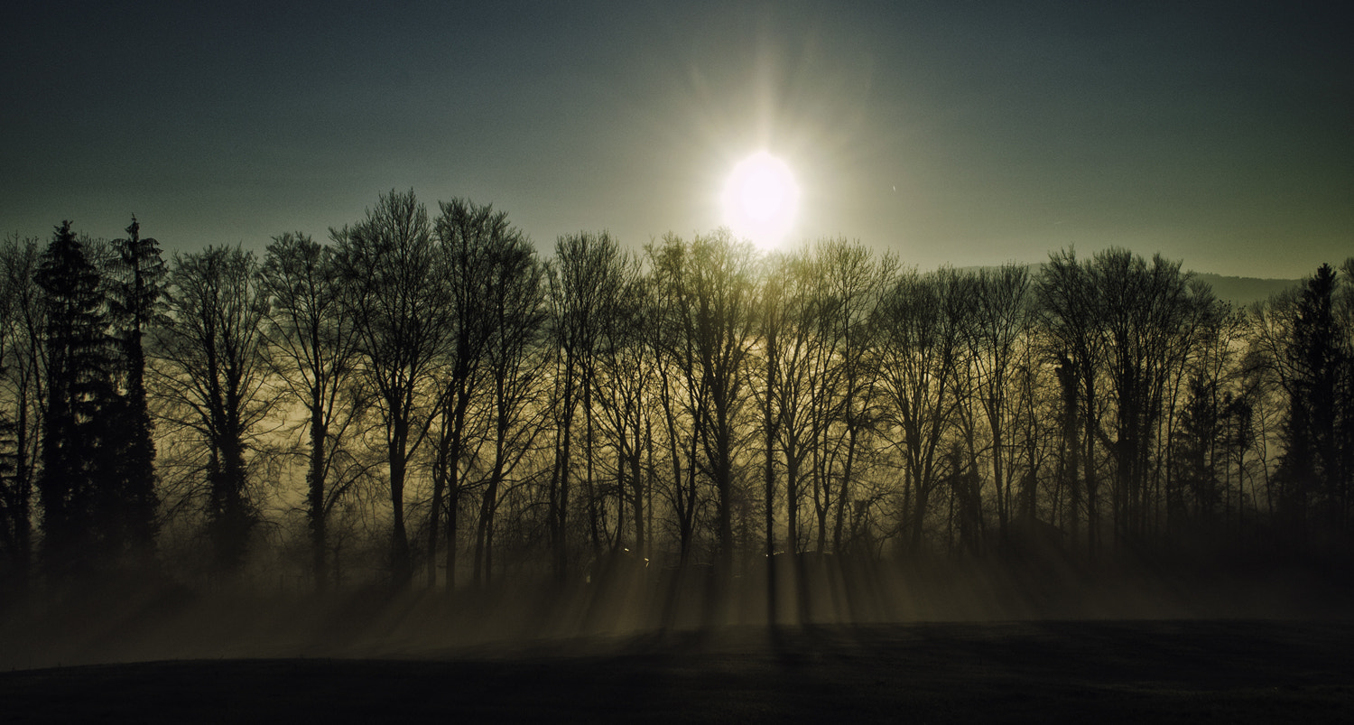 Nikon Df sample photo. Foggy photography