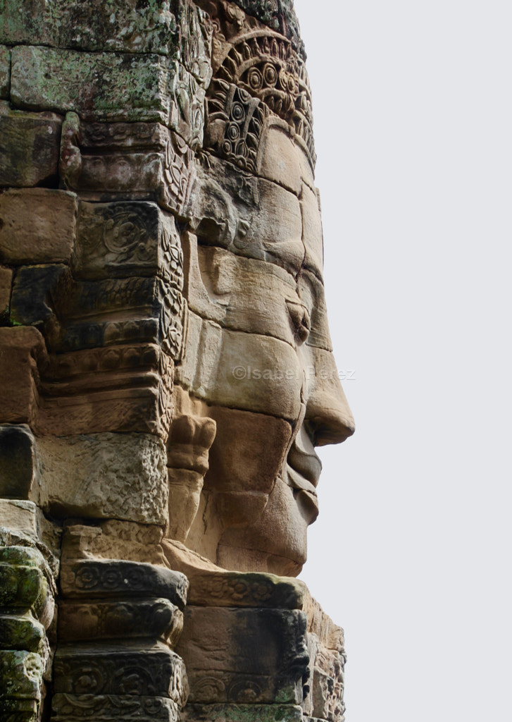 Canon EOS 7D + Canon 18-270mm sample photo. Bayon photography