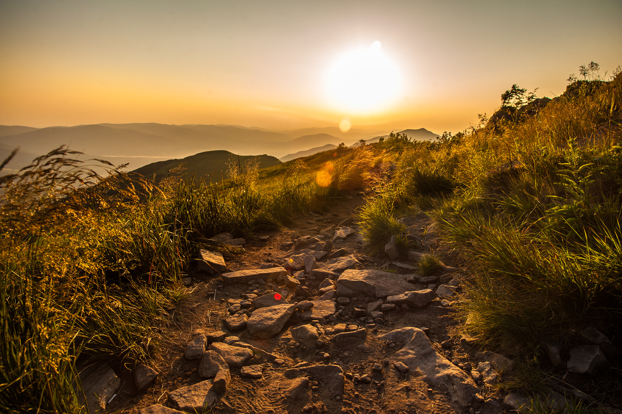 Nikon D700 + Sigma 20mm F1.8 EX DG Aspherical RF sample photo. Bieszczady sunset photography