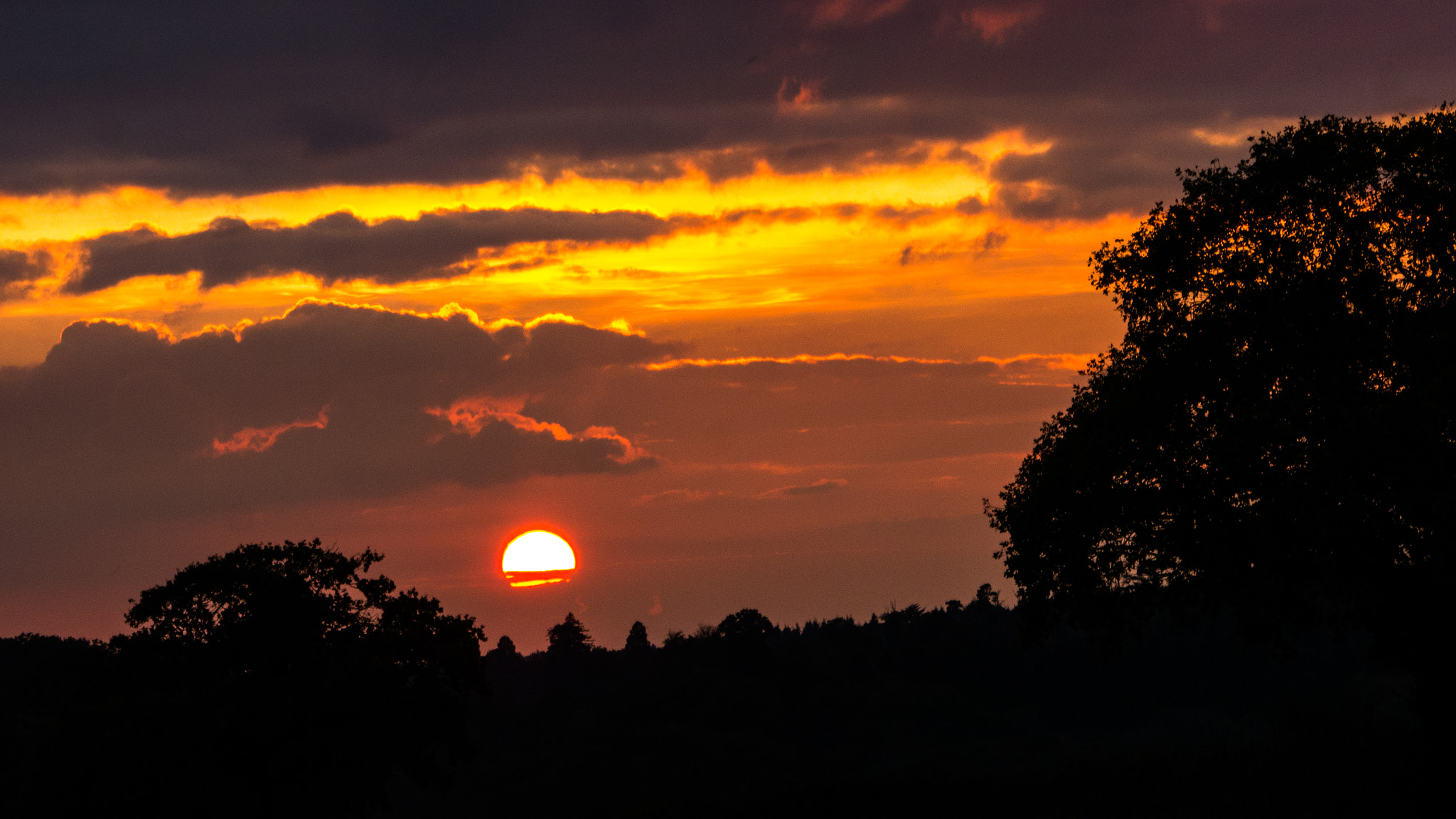 Panasonic Lumix DMC-G5 sample photo. Sunset silhouettes photography