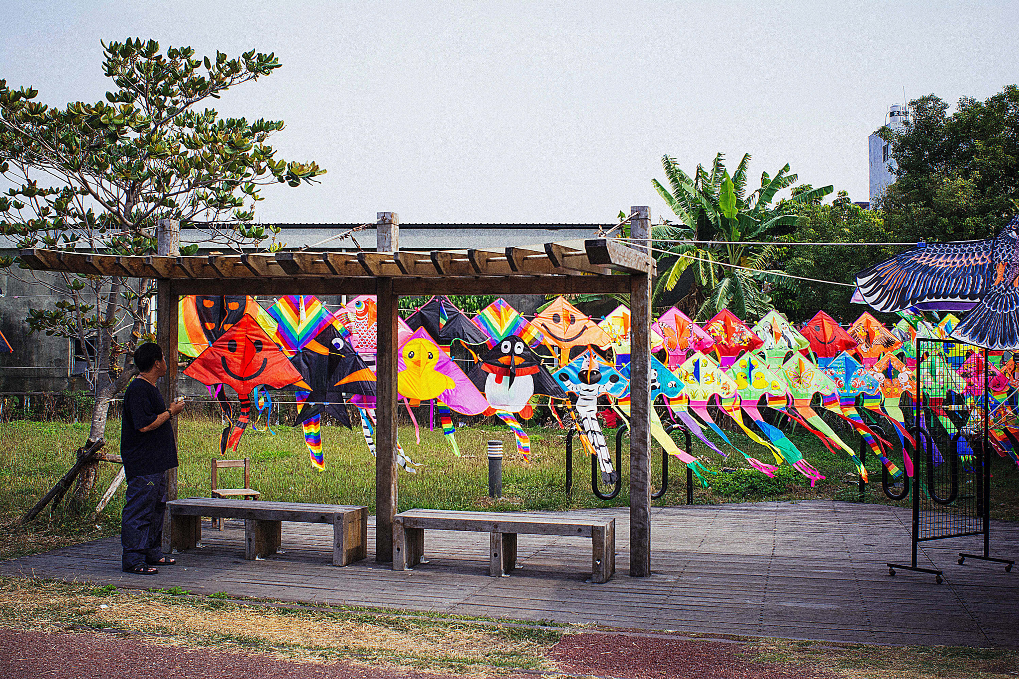 Nikon D7100 + AF Nikkor 24mm f/2.8 sample photo. Kites. pier 2 art centre, kaohsiung. photography